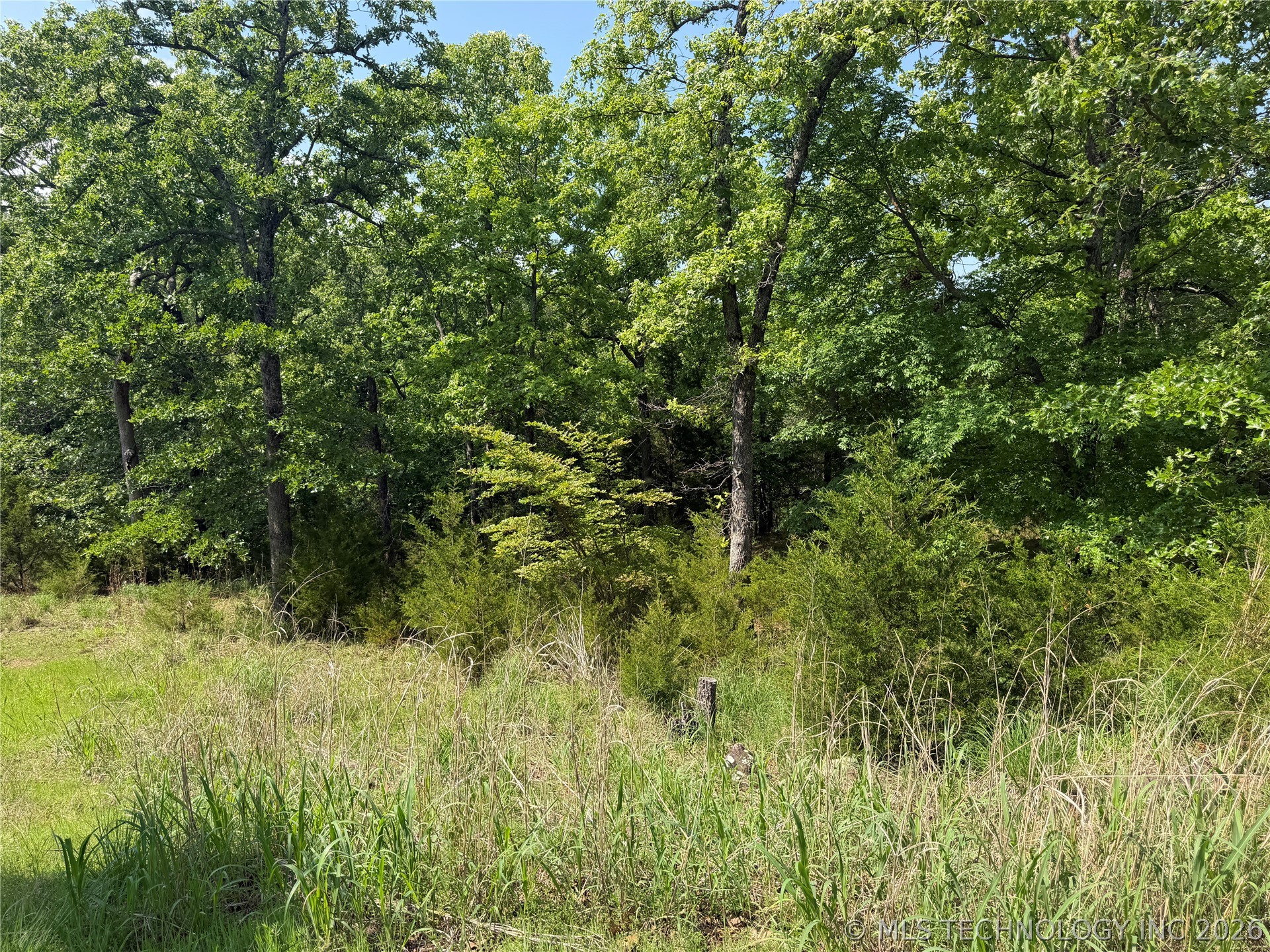 2613739 Property Photo 5