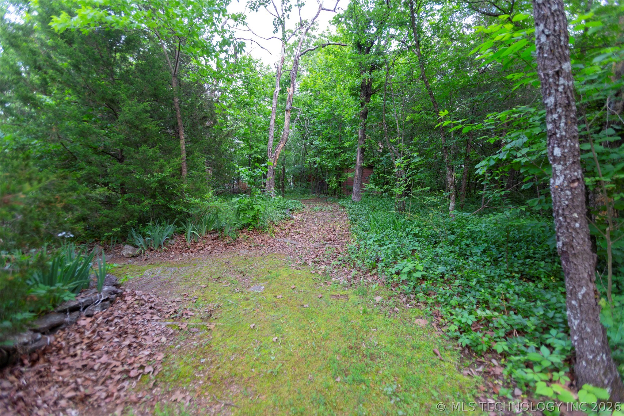 105 W Mockingbird Lane Property Photo 30