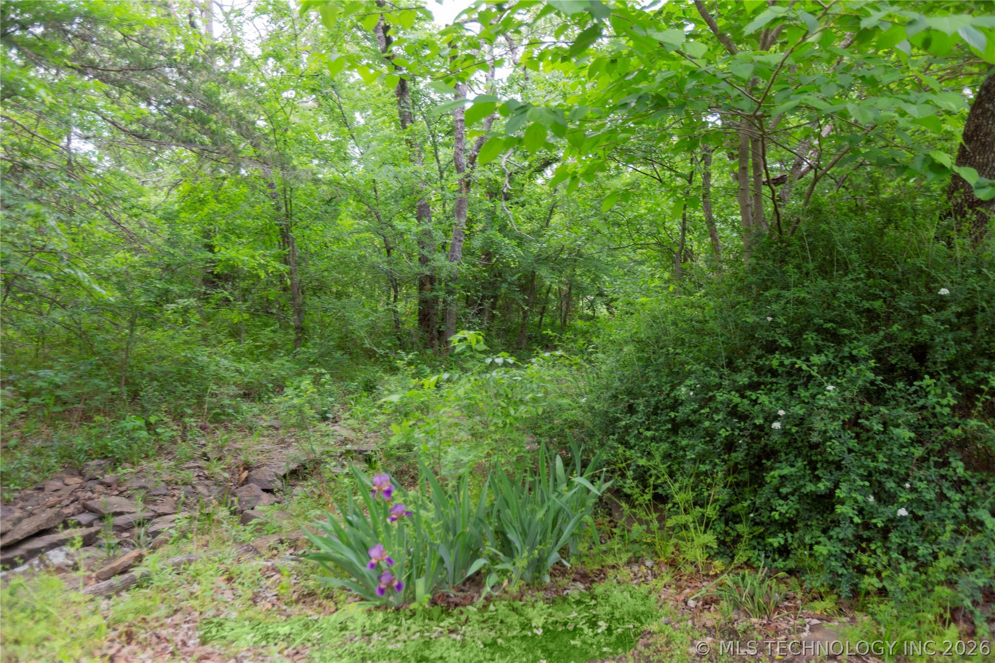 105 W Mockingbird Lane Property Photo 32