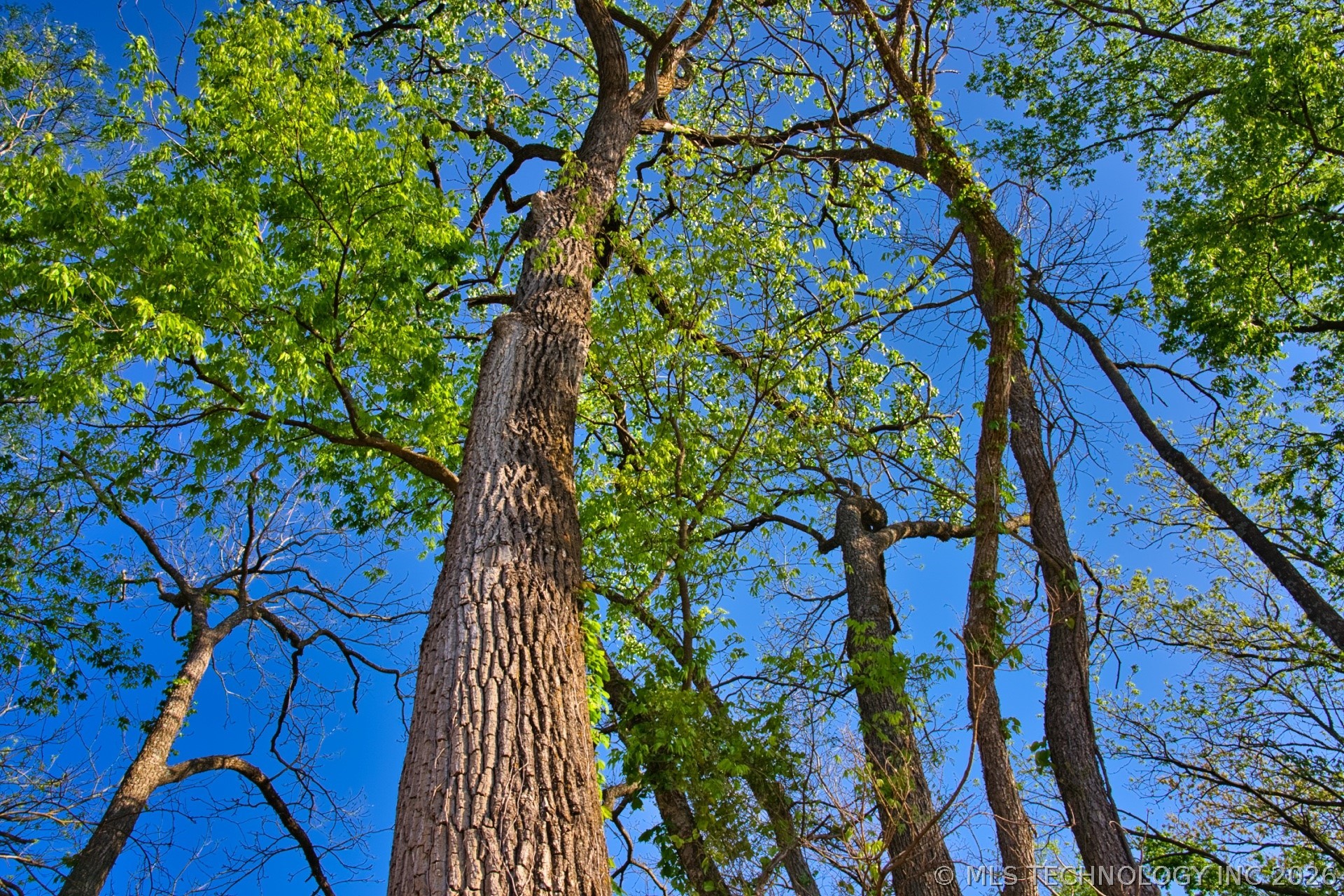 E 1860 Property Photo 10