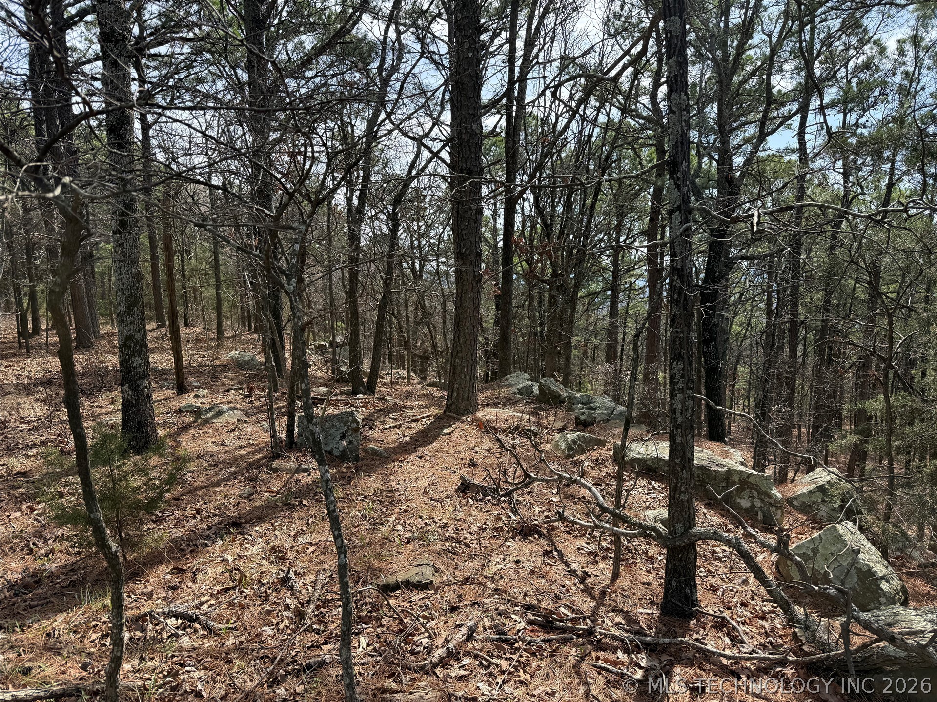 Rural Route Property Photo 8