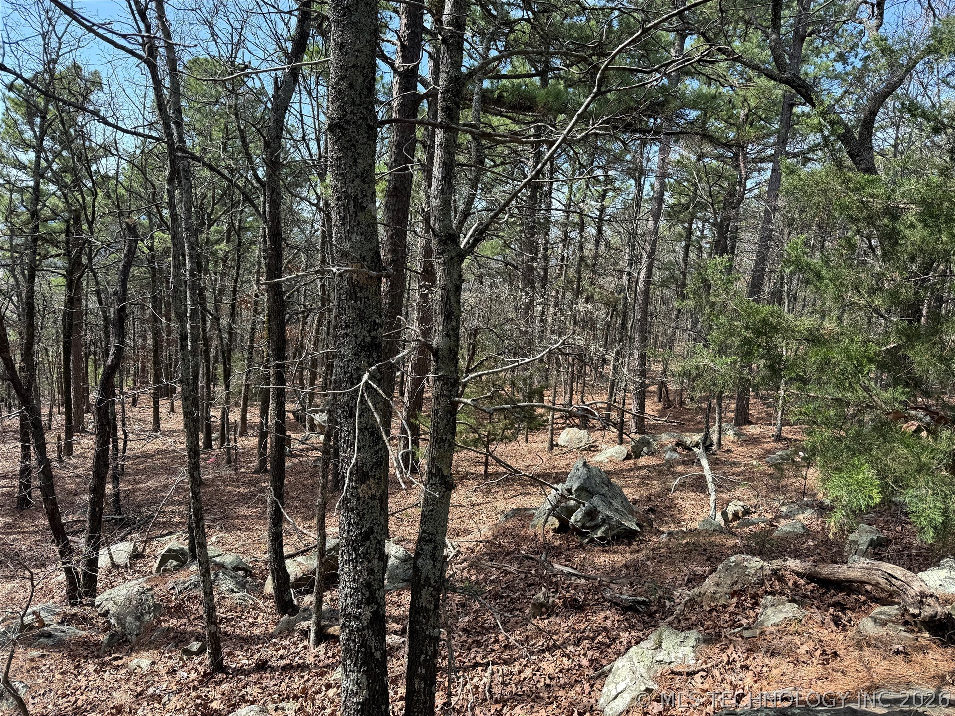 Rural Route Property Photo 10
