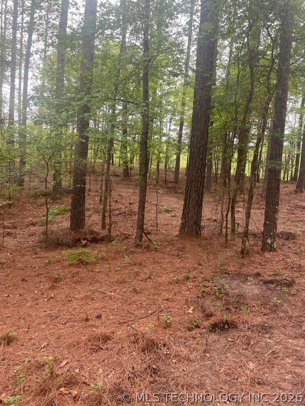7 Goat Rock Property Photo 13
