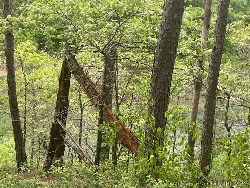 7 Goat Rock Property Photo 15