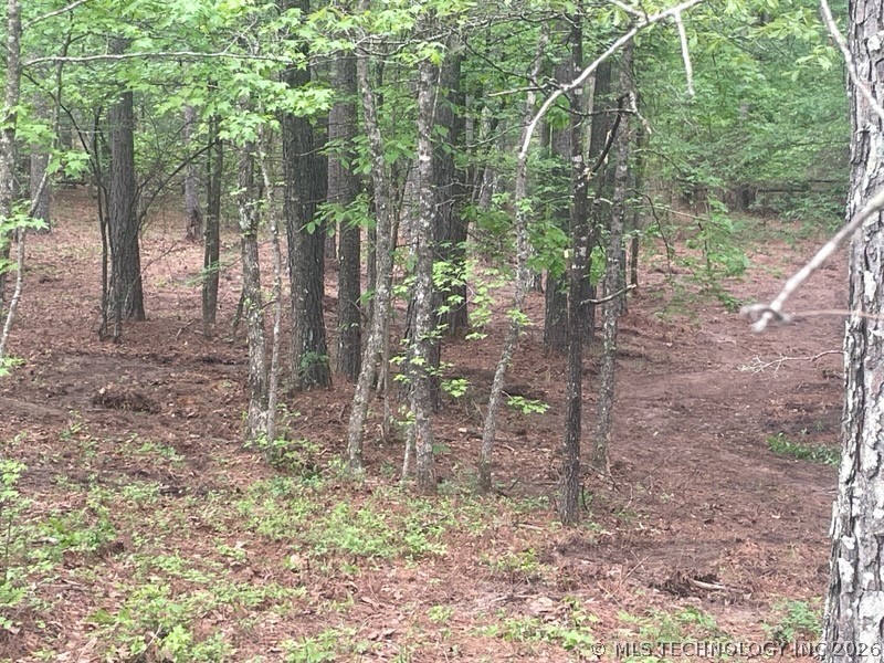 7 Goat Rock Property Photo 17