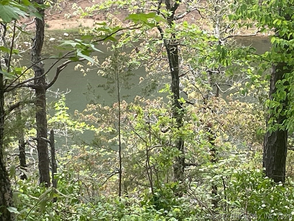 7 Goat Rock Property Photo 18