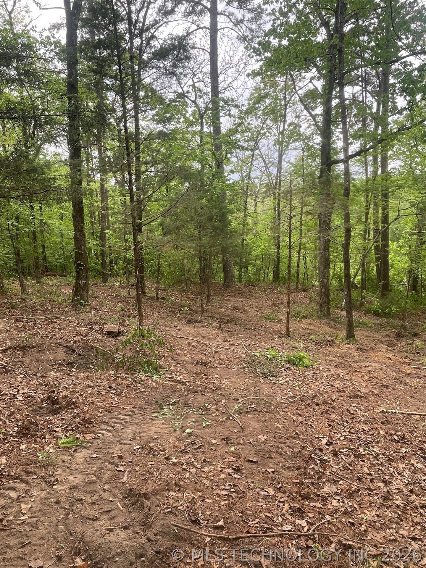1 River Ridge Road Property Photo 12