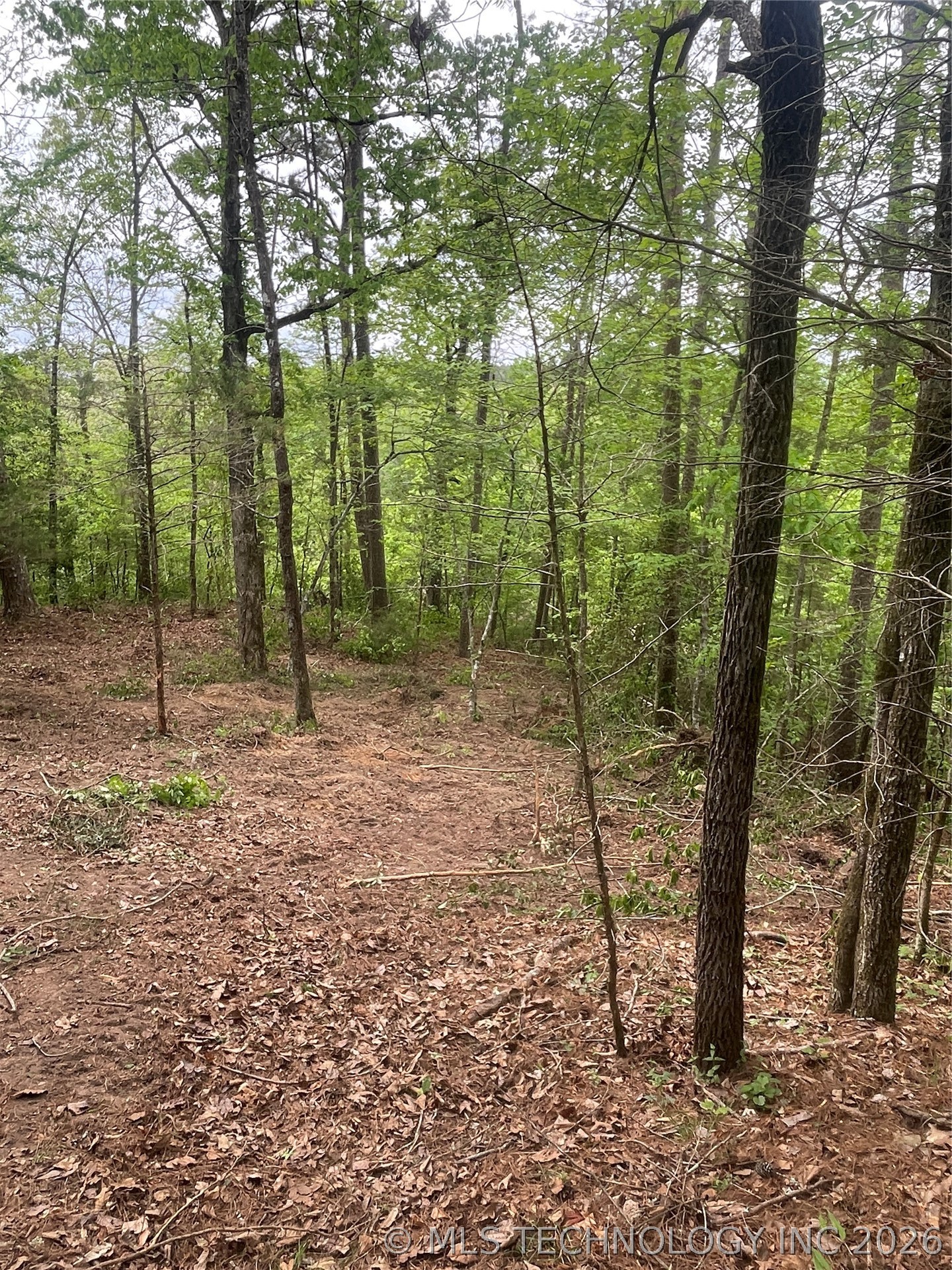 1 River Ridge Road Property Photo 13