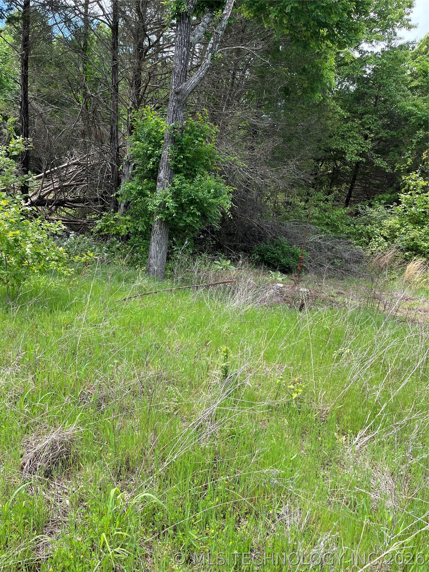 0 County Road 1470 Property Photo 4