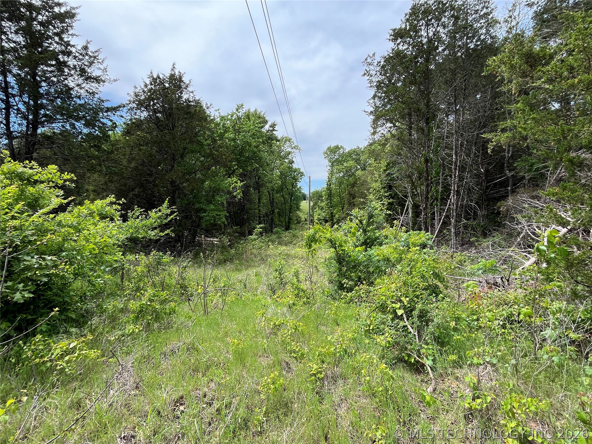 0 County Road 1470 Property Photo 5