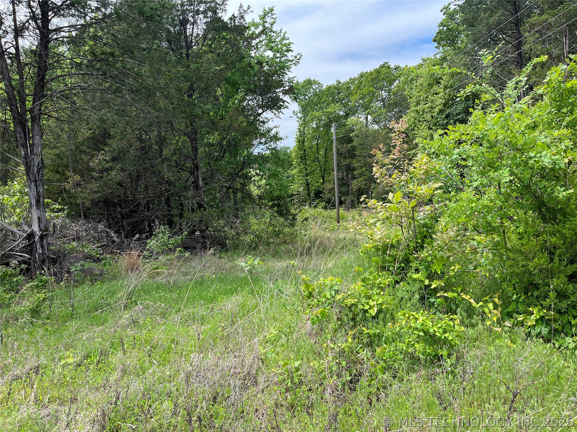 0 County Road 1470 Property Photo 6