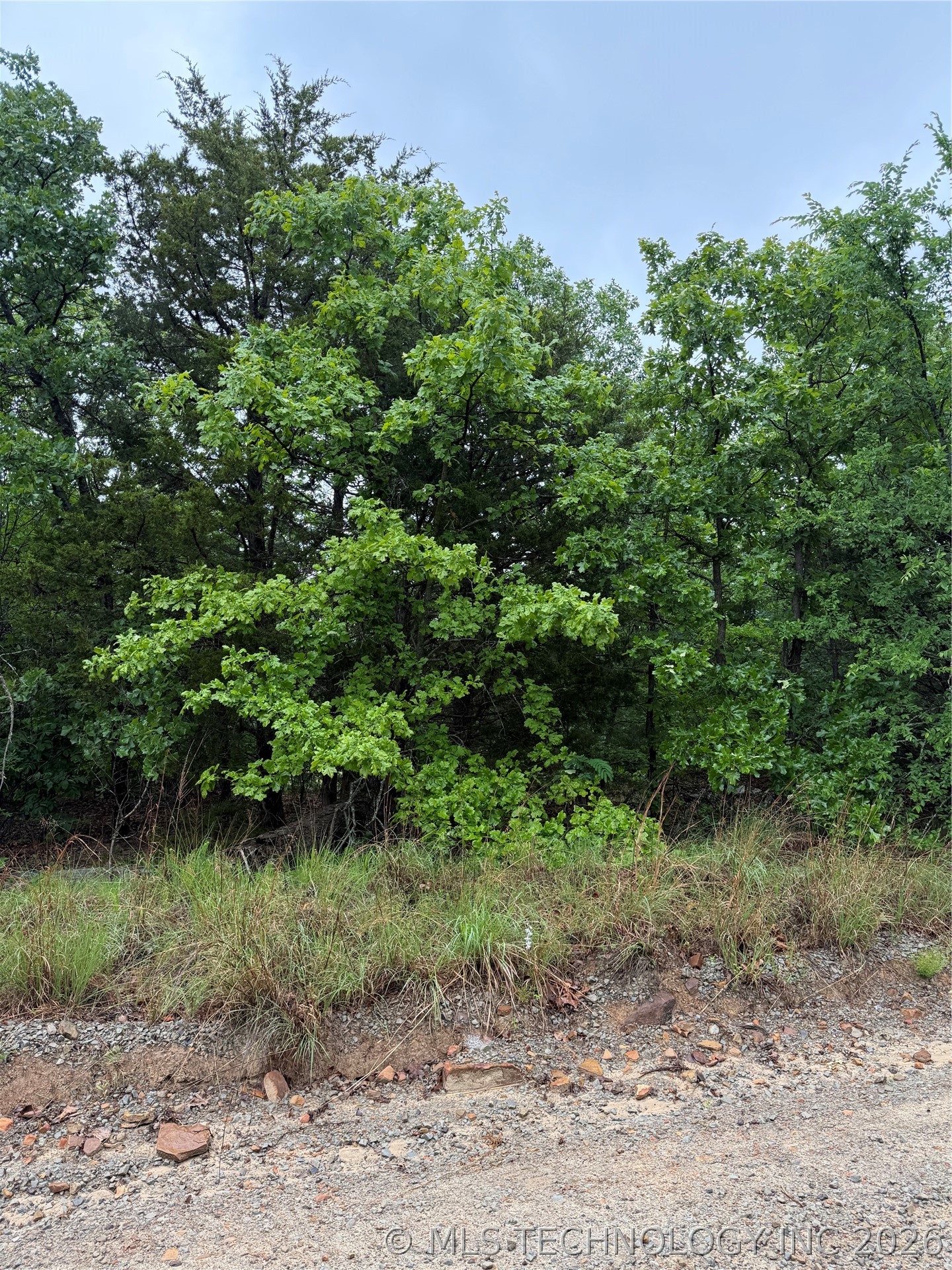 Bus Loop Property Photo 1