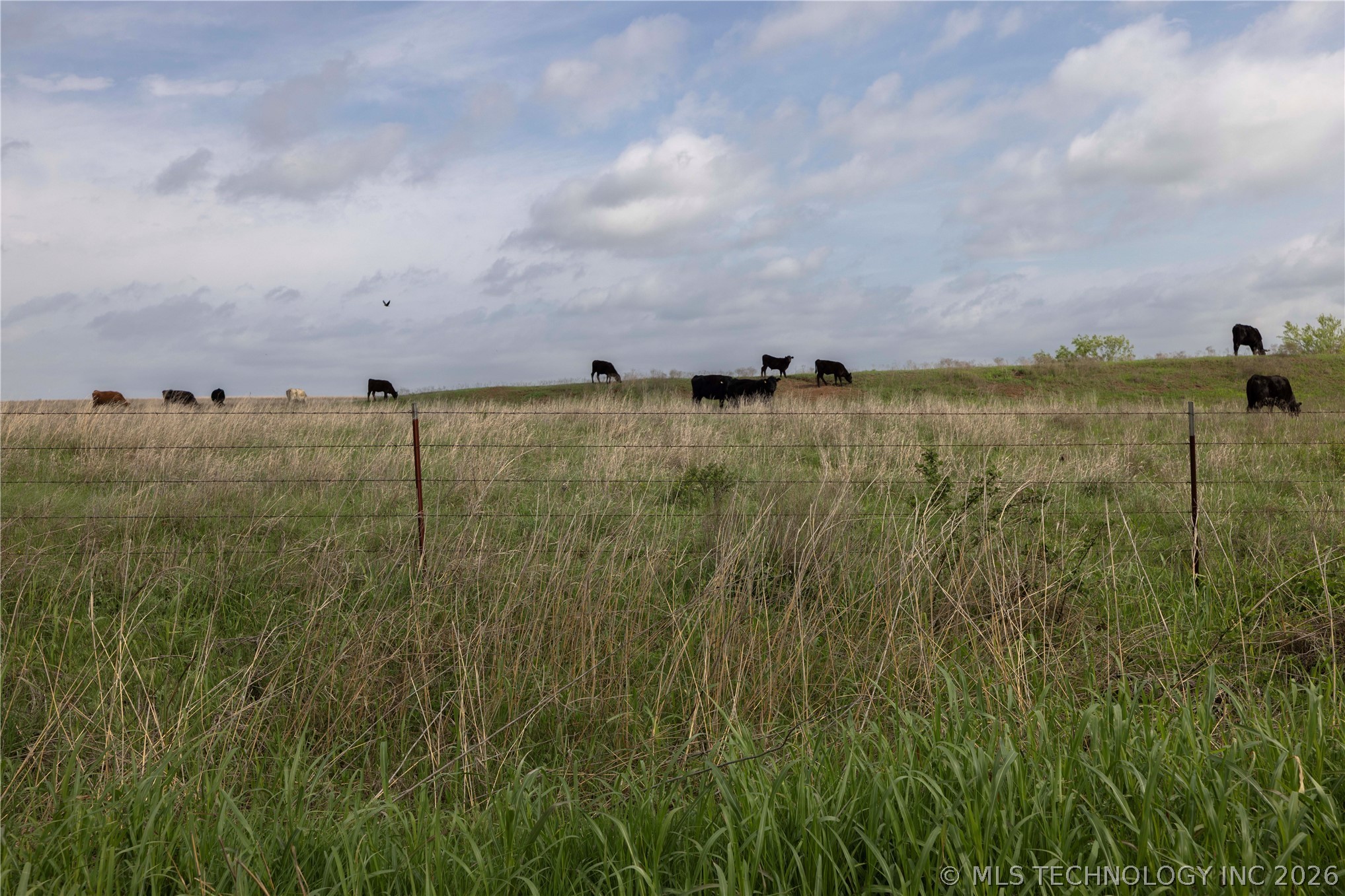 0004 E 4500 Road Property Photo 5