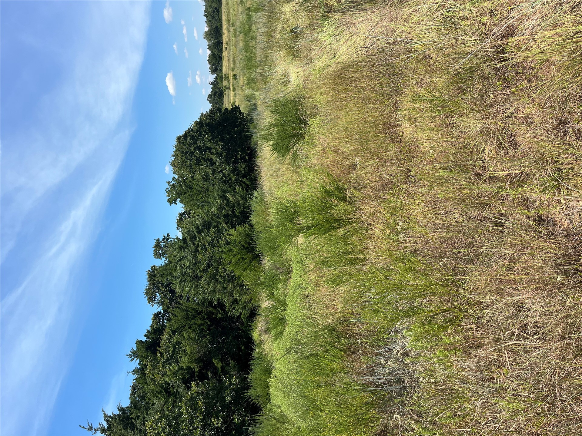 00 Range Road Property Photo 26
