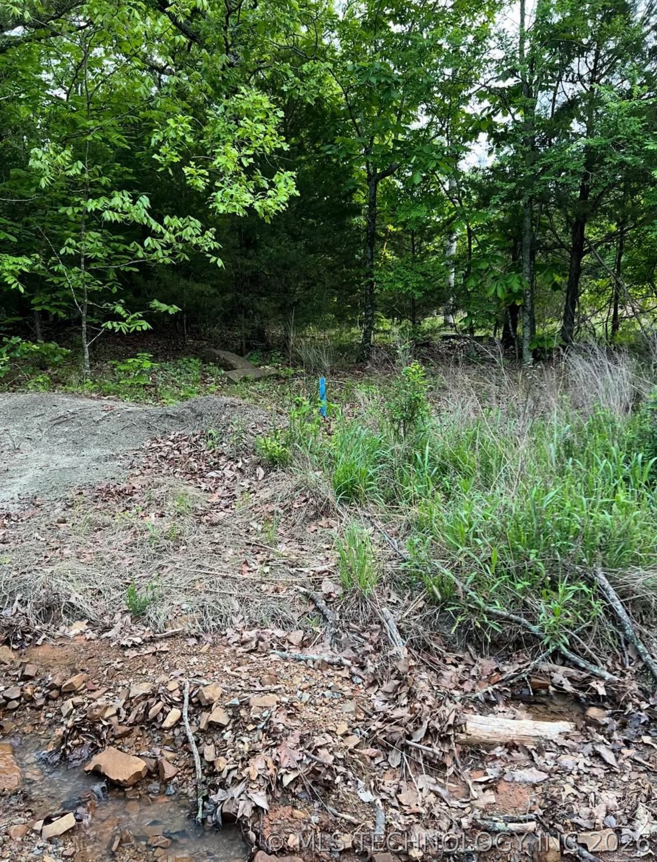 0 Eastern Brooktrout Street Property Photo 5