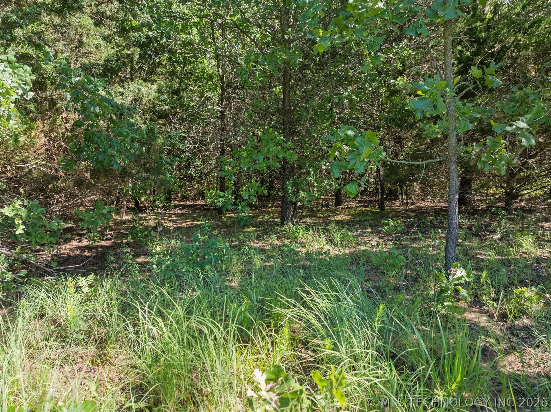 0 Chisholm Trail Property Photo 17