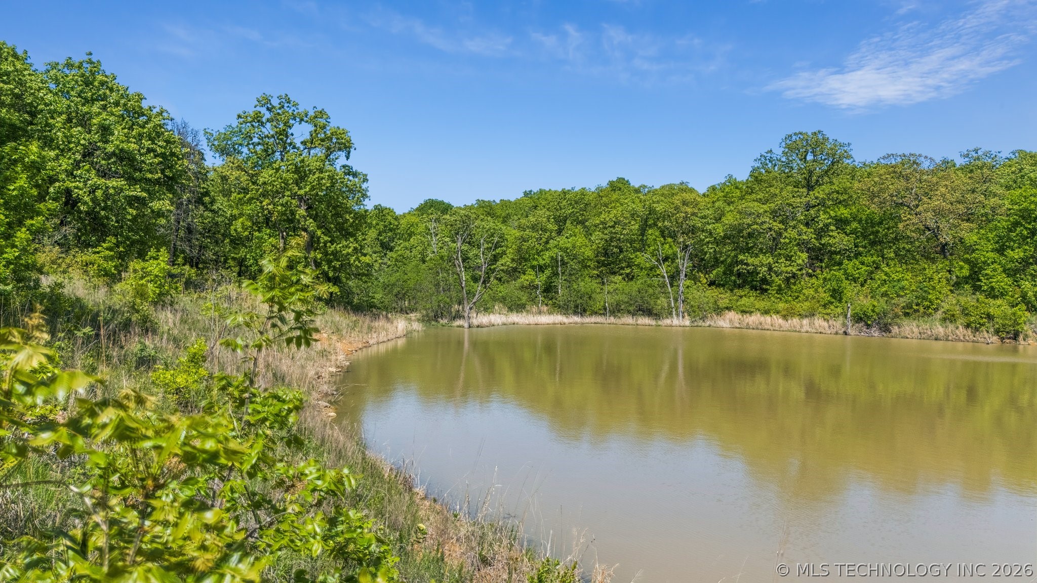 16439 N Richardson Road Property Photo 80