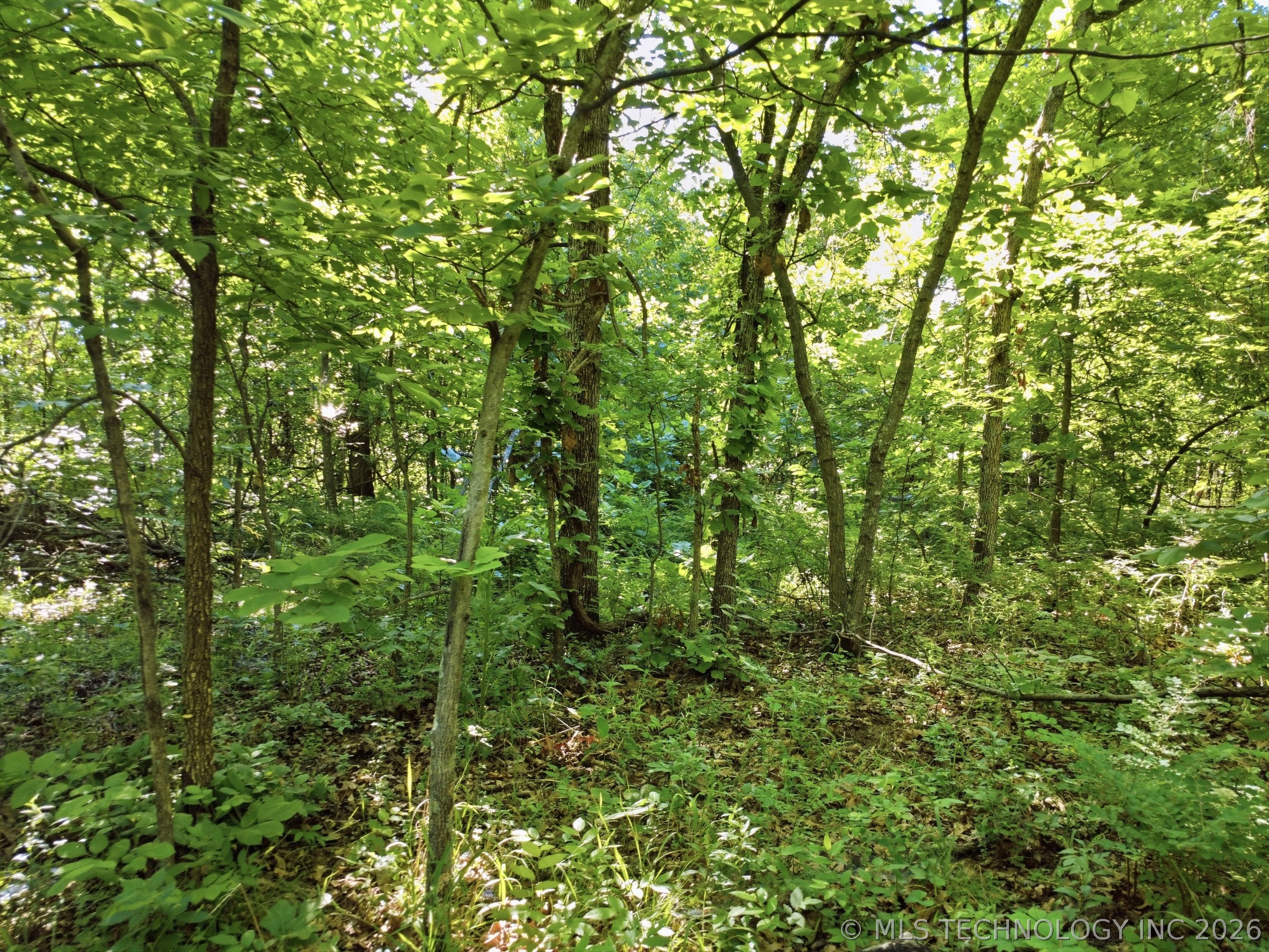 0001 S 4210 Road Property Photo 6