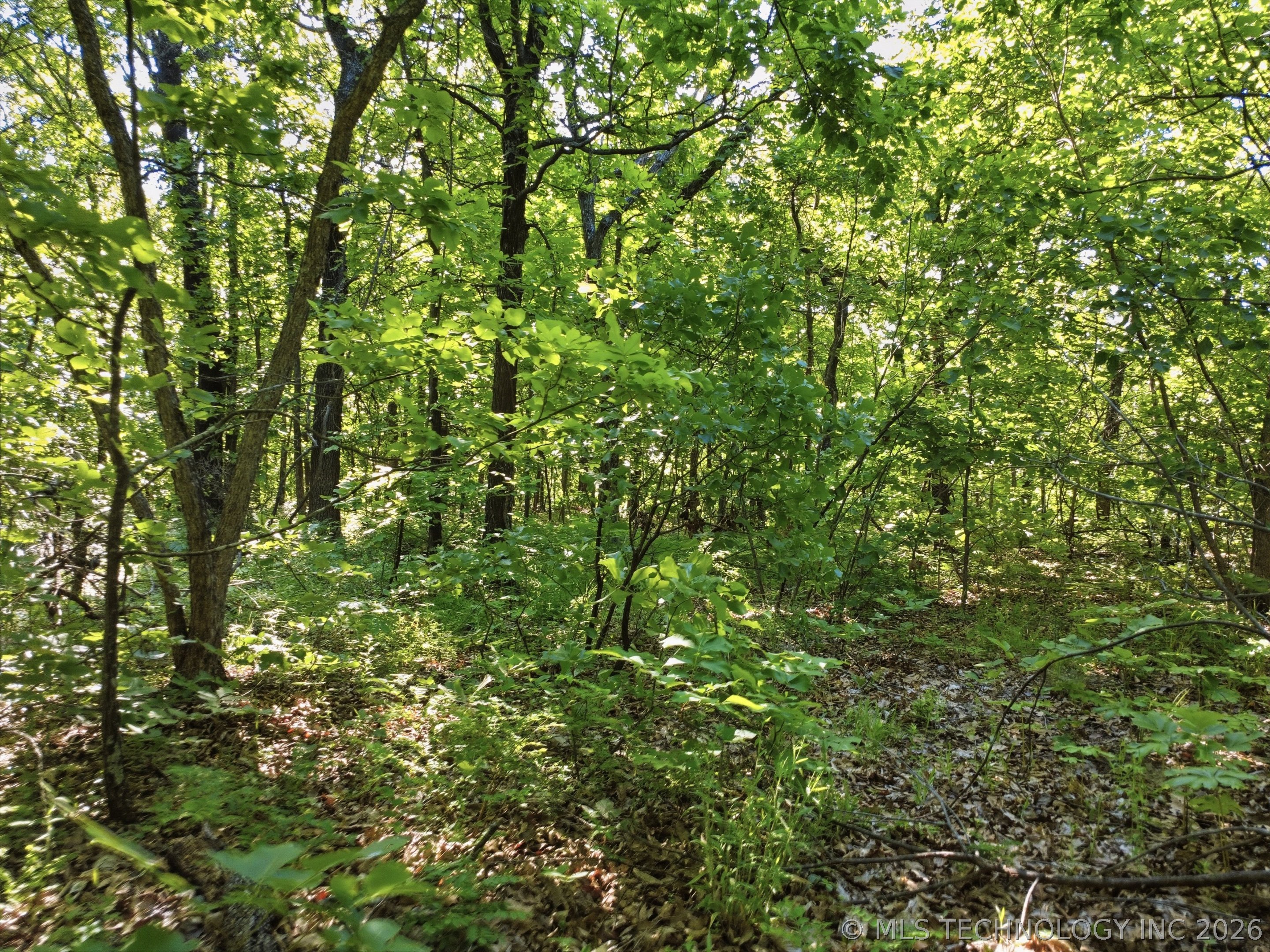 0001 S 4210 Road Property Photo 8