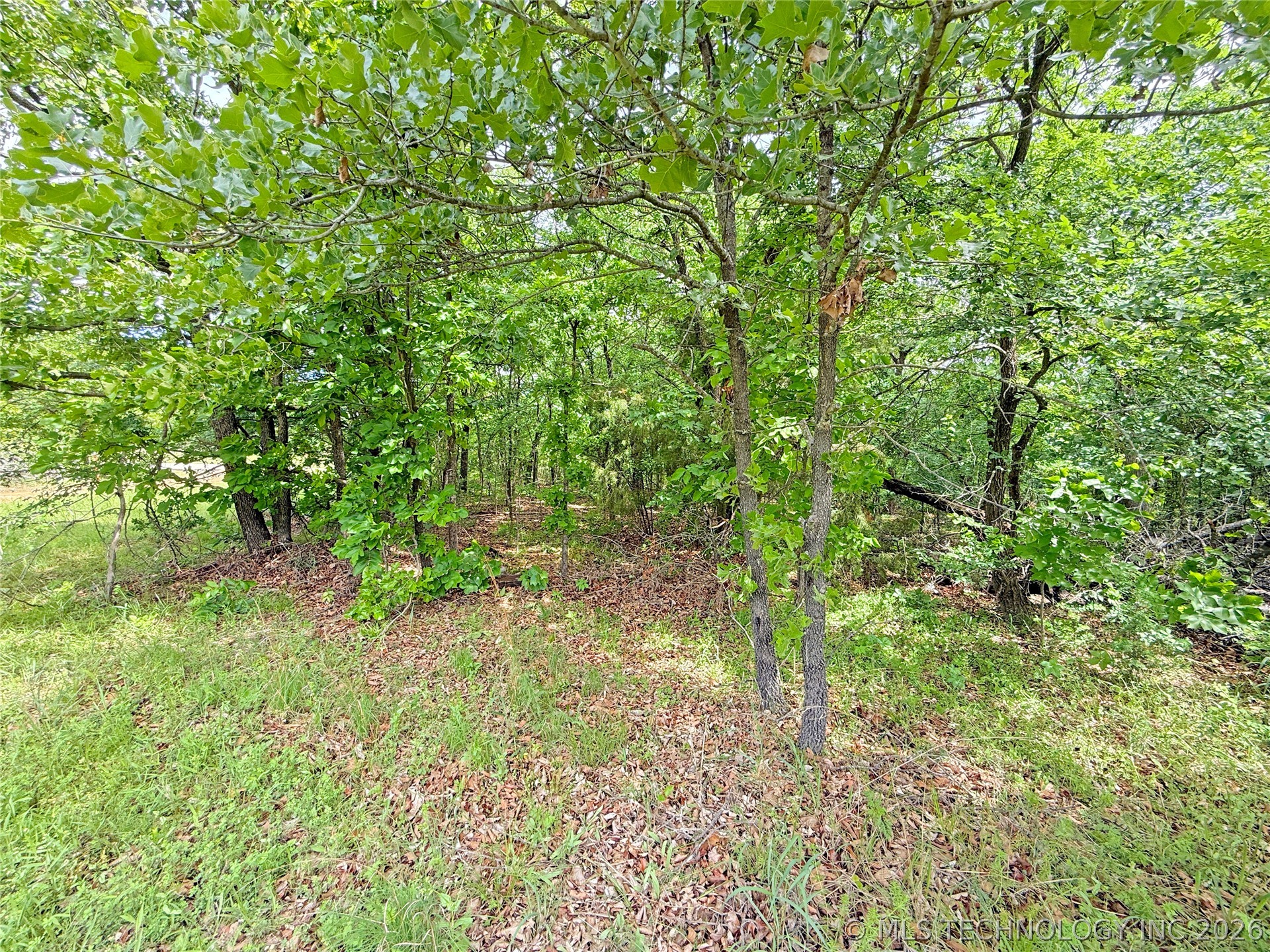 61 Country Club Drive Property Photo 4