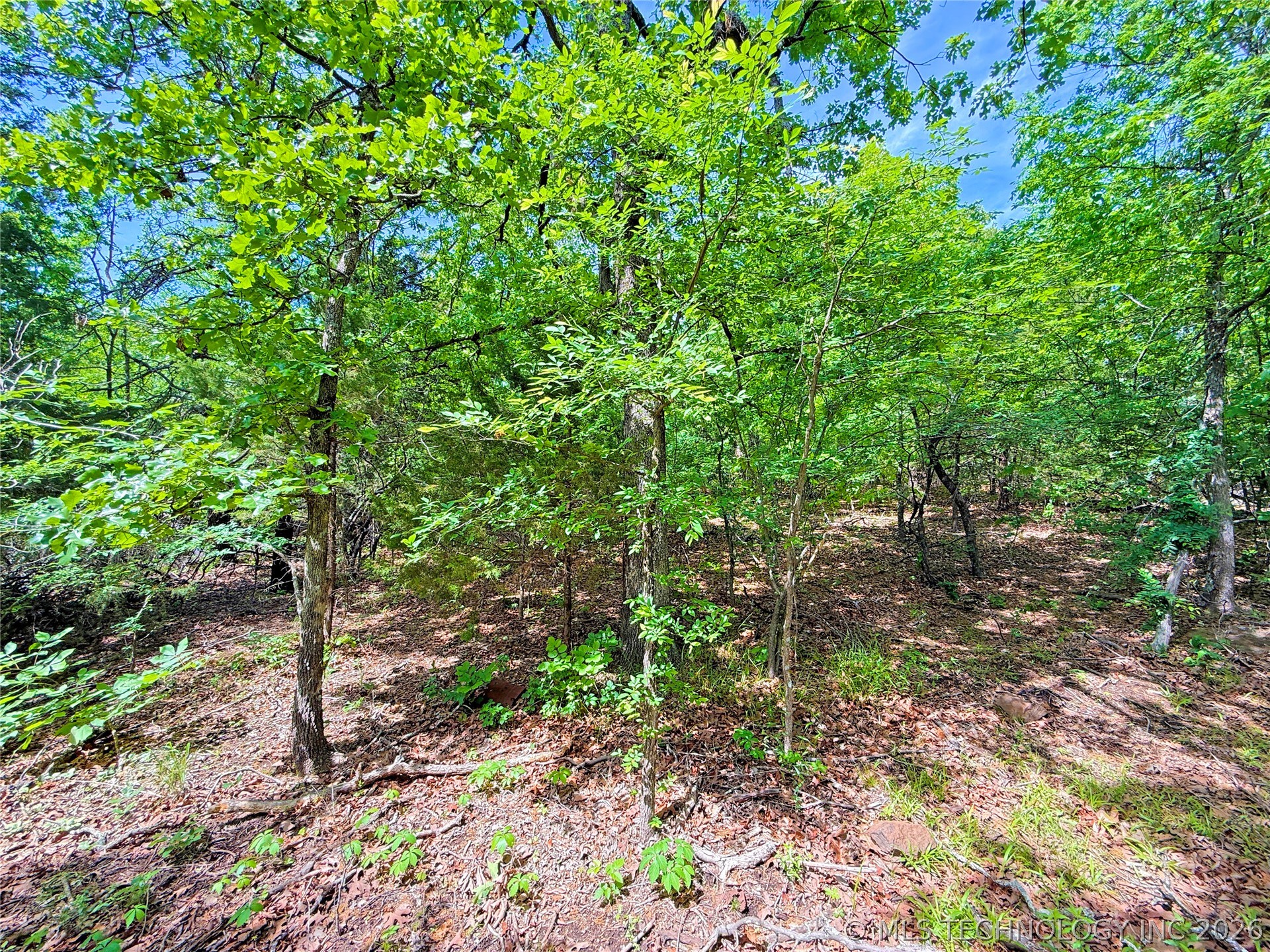 61 Country Club Drive Property Photo 11