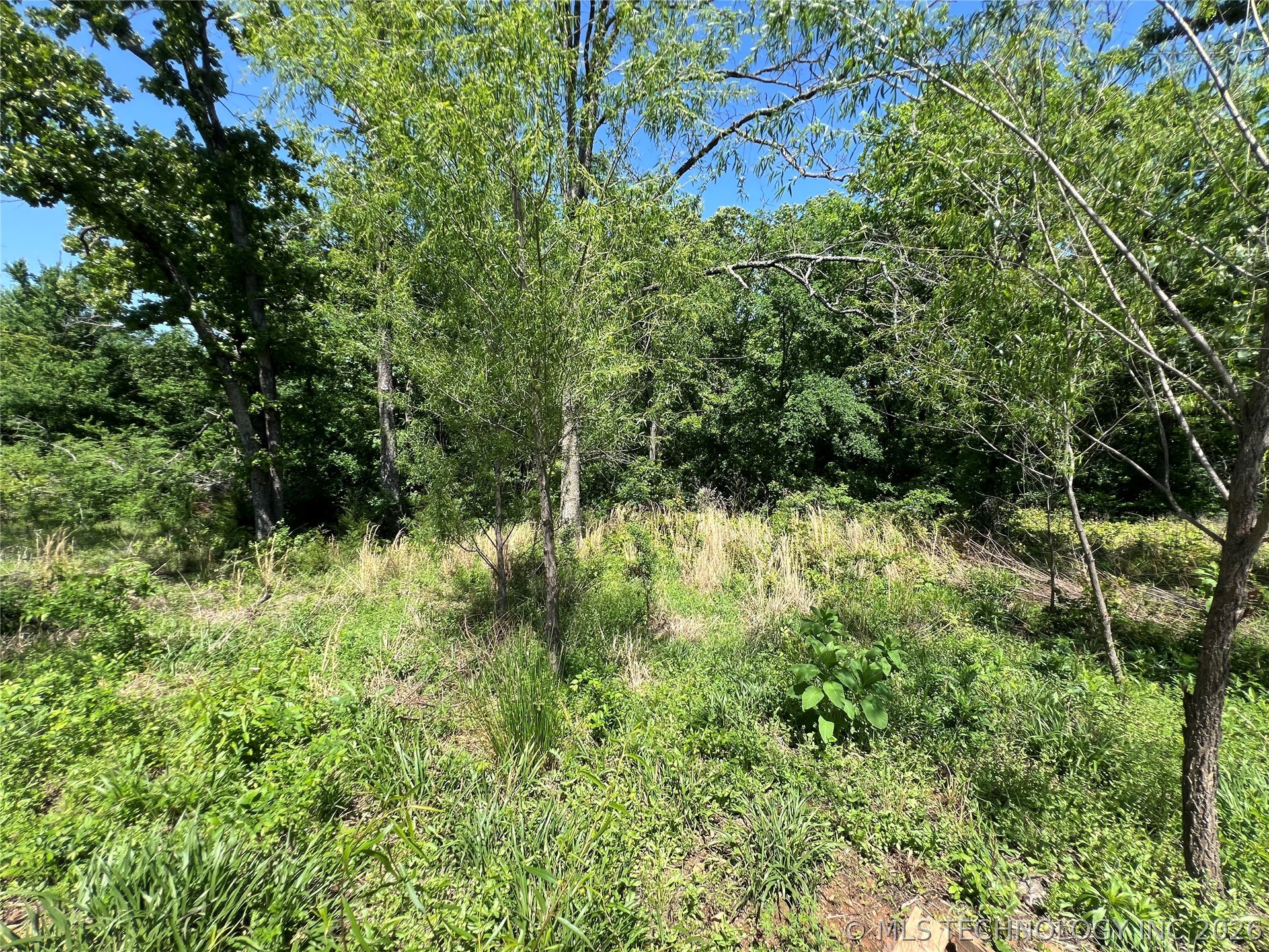 7504 Fig Road Property Photo 11