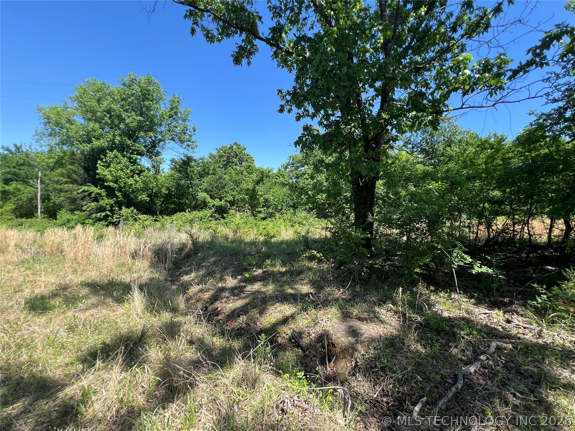 7504 Fig Road Property Photo 12