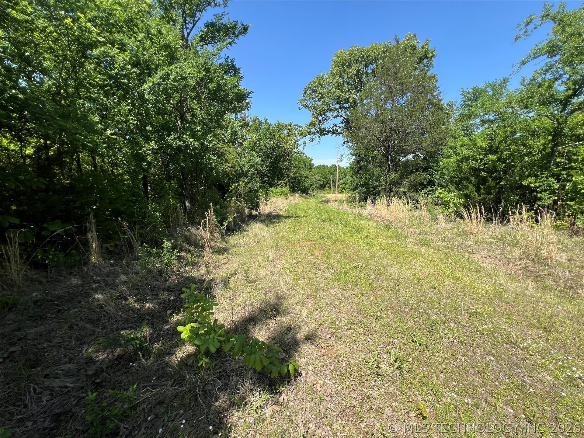 7504 Fig Road Property Photo 13