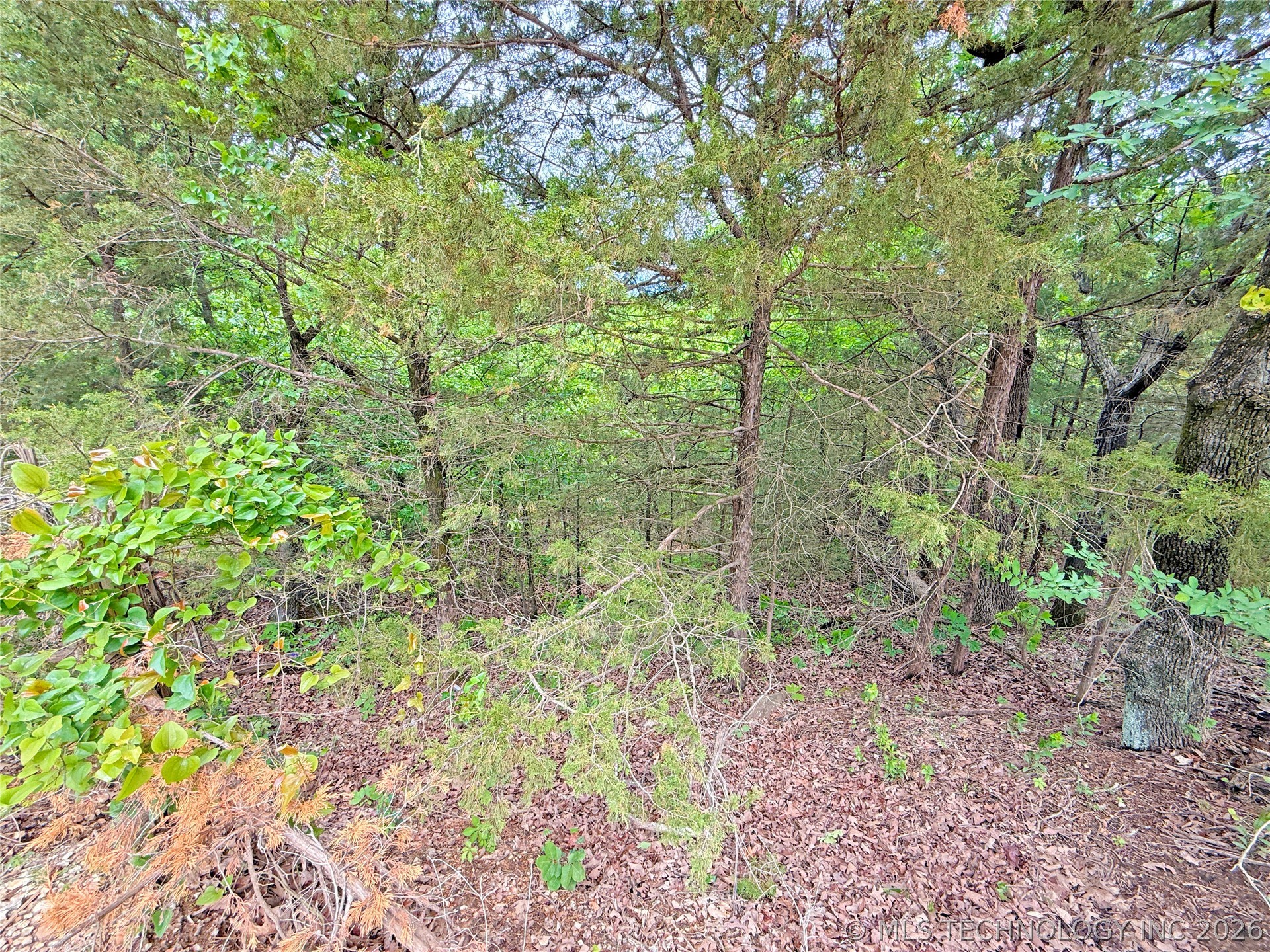 17 Holiday Lane Property Photo 4