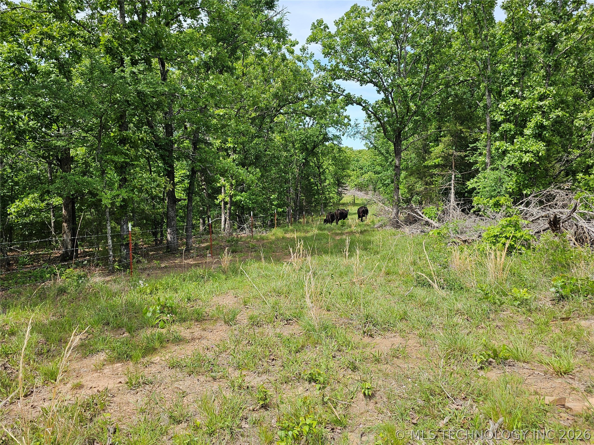 0000 S Hwy 2 Property Photo 32