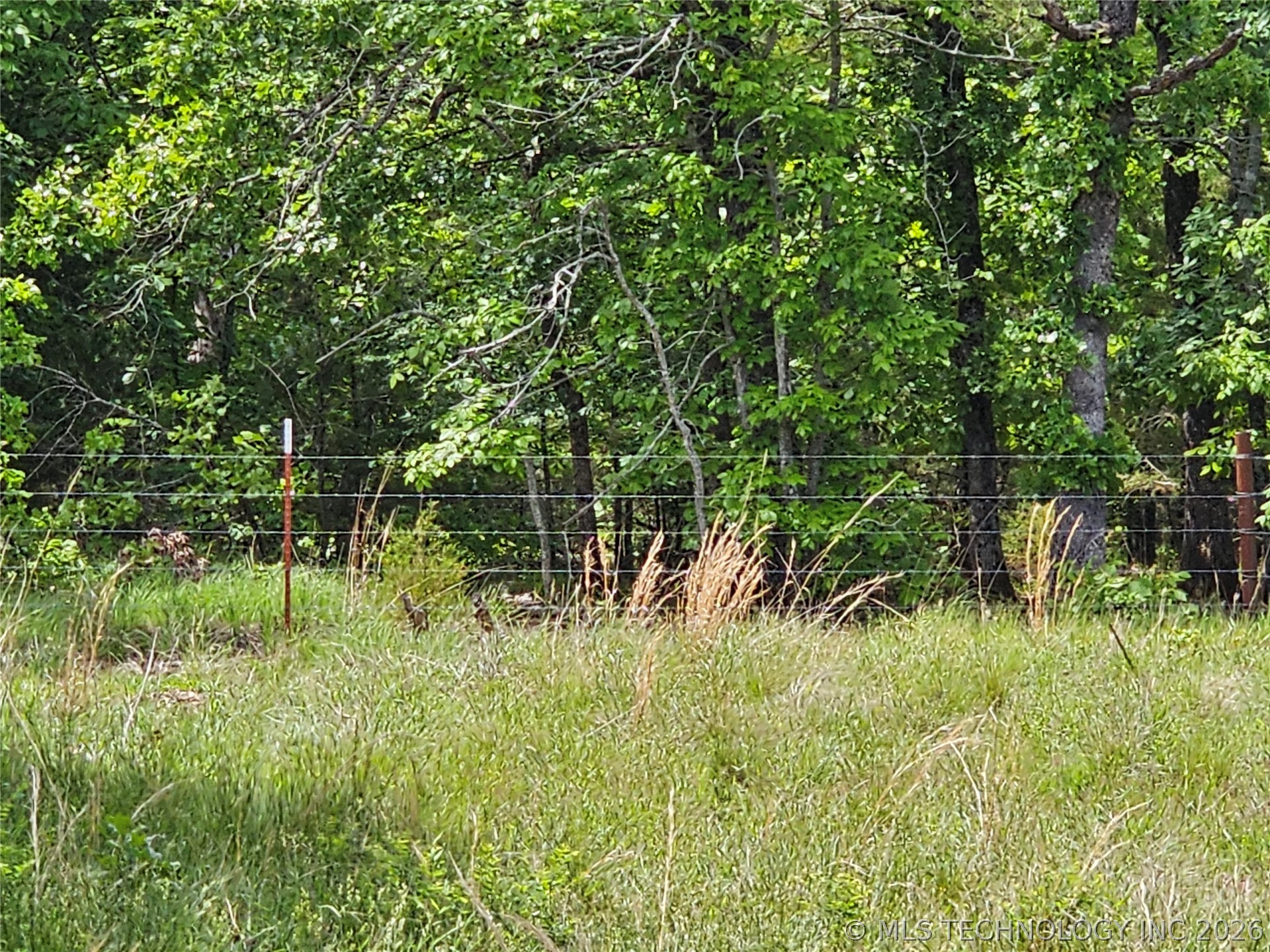 0000 S Hwy 2 Property Photo 34