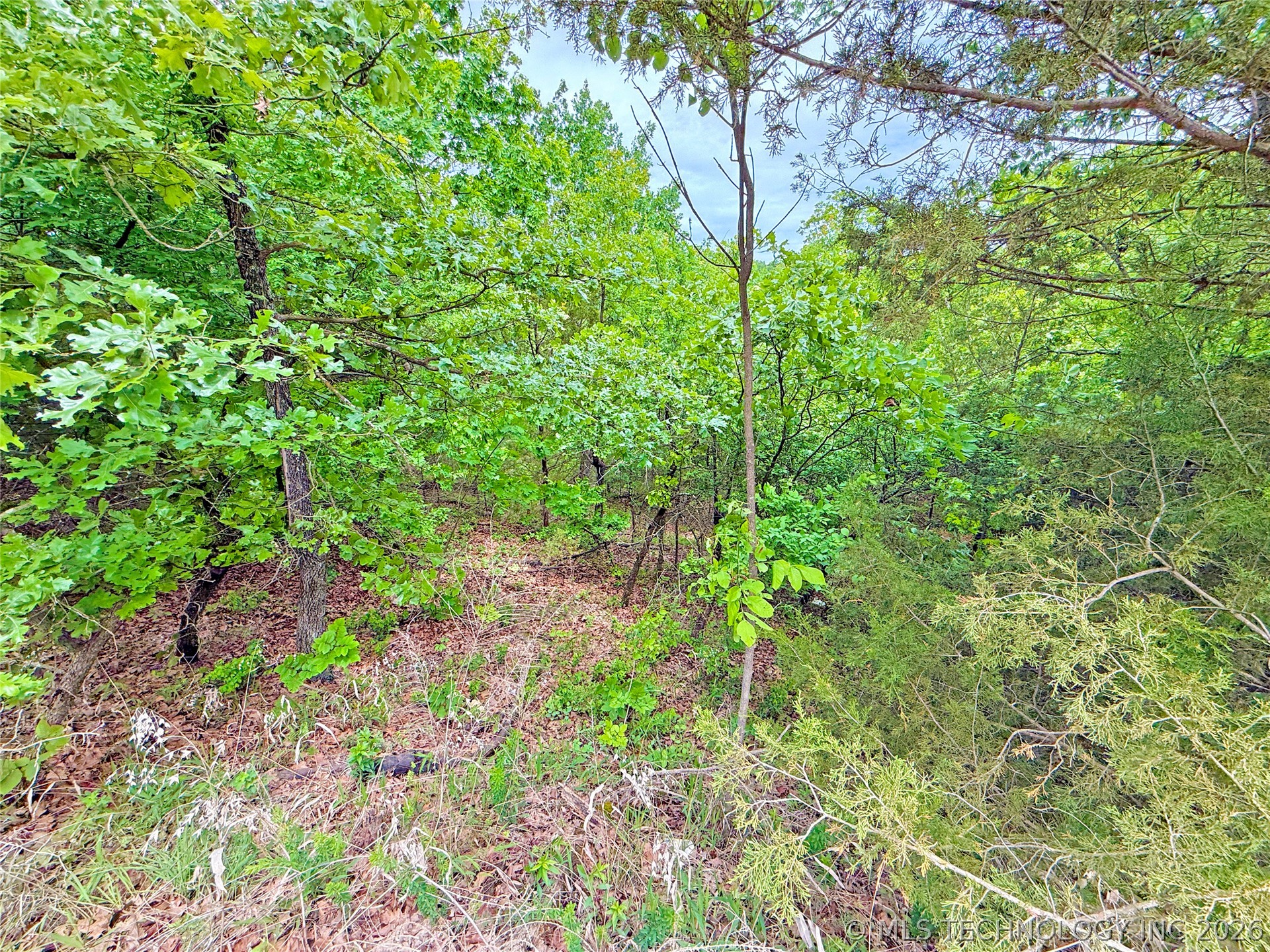 29 Lakeside Drive Property Photo 2