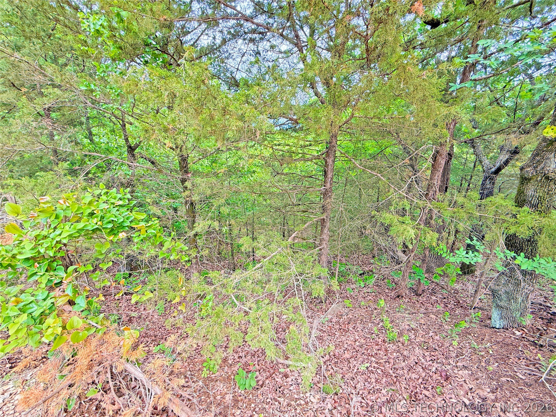 29 Lakeside Drive Property Photo 3