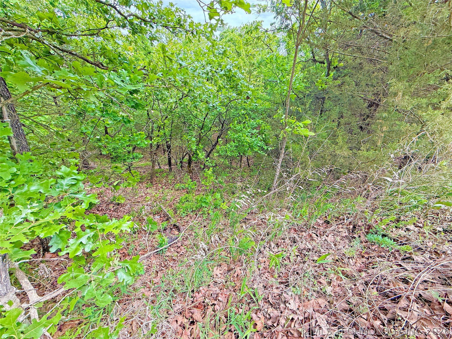 29 Lakeside Drive Property Photo 4