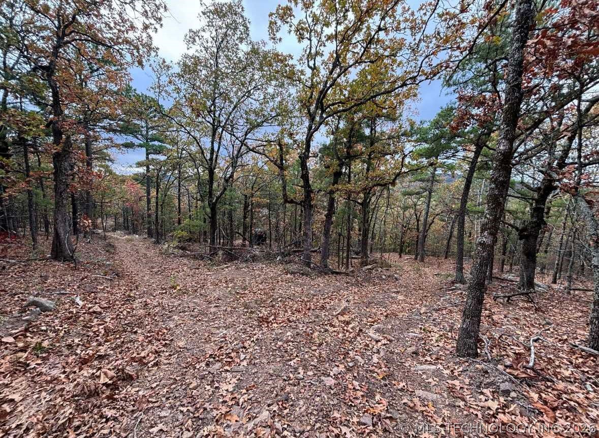 Rural Route Property Photo 22