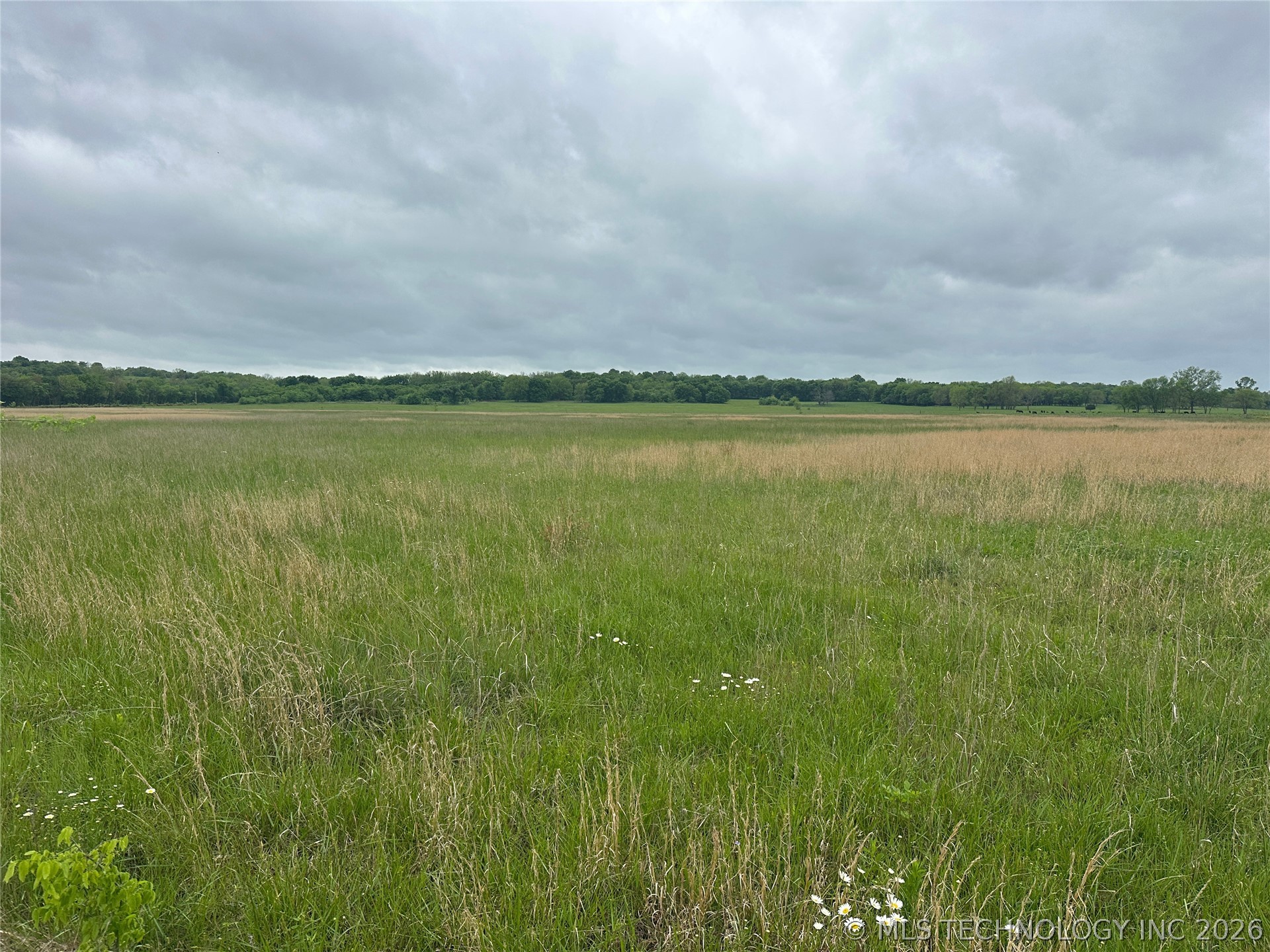 12001 Hwy 82 Property Photo 1