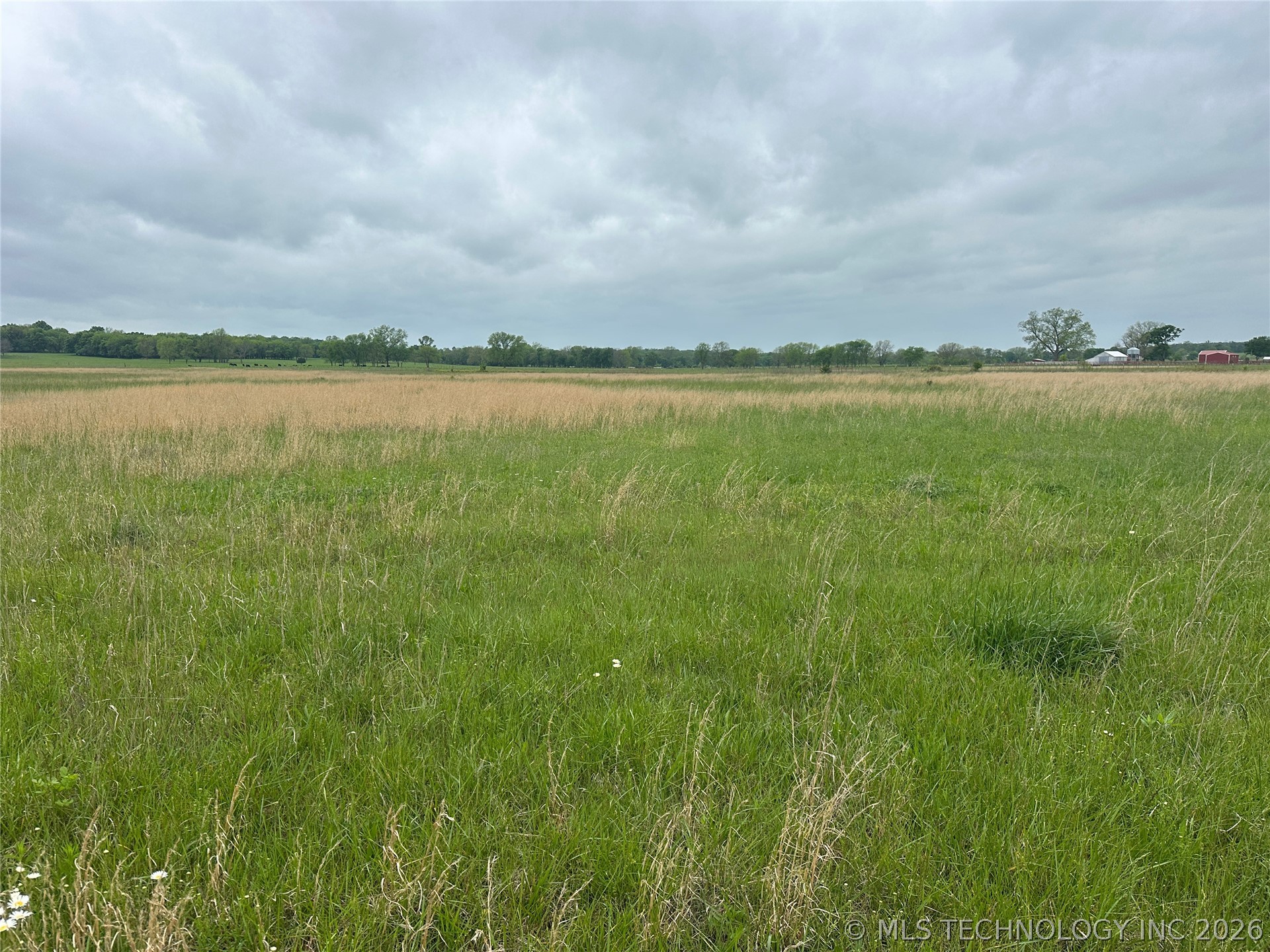 12001 Hwy 82 Property Photo 4