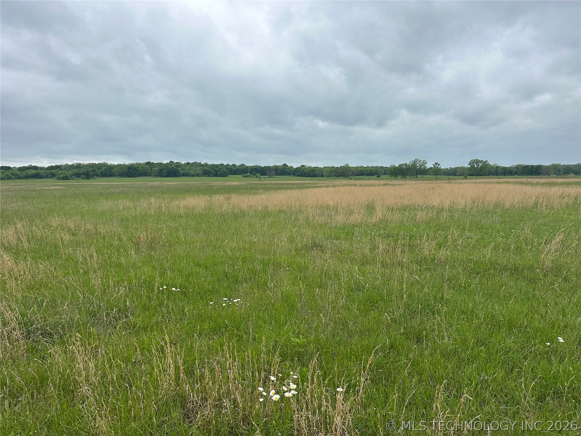 12001 Hwy 82 Property Photo 5