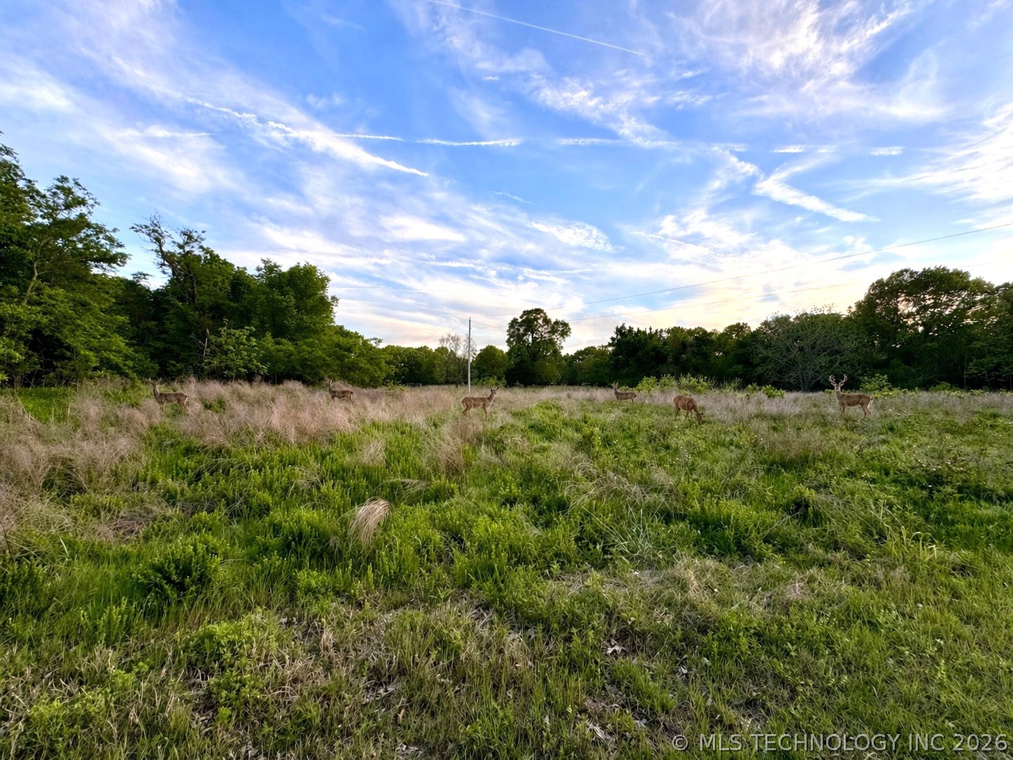9270 E 420 Road Property Photo 8