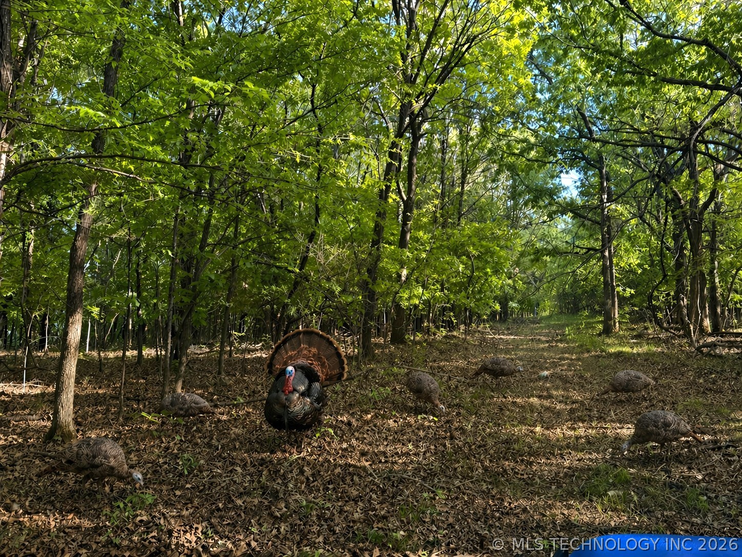9270 E 420 Road Property Photo 11