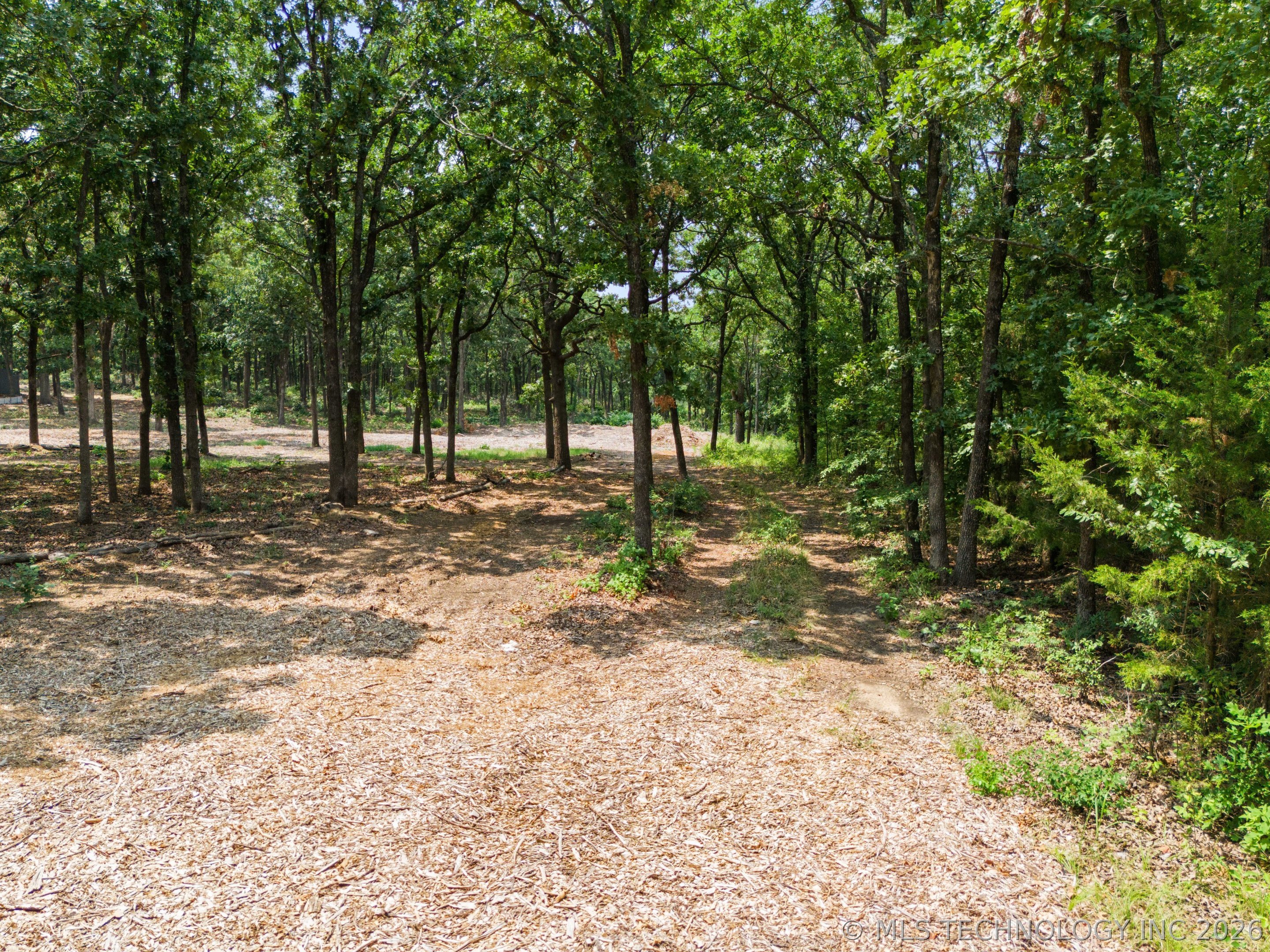 20910 Black Jack Trail Property Photo 16