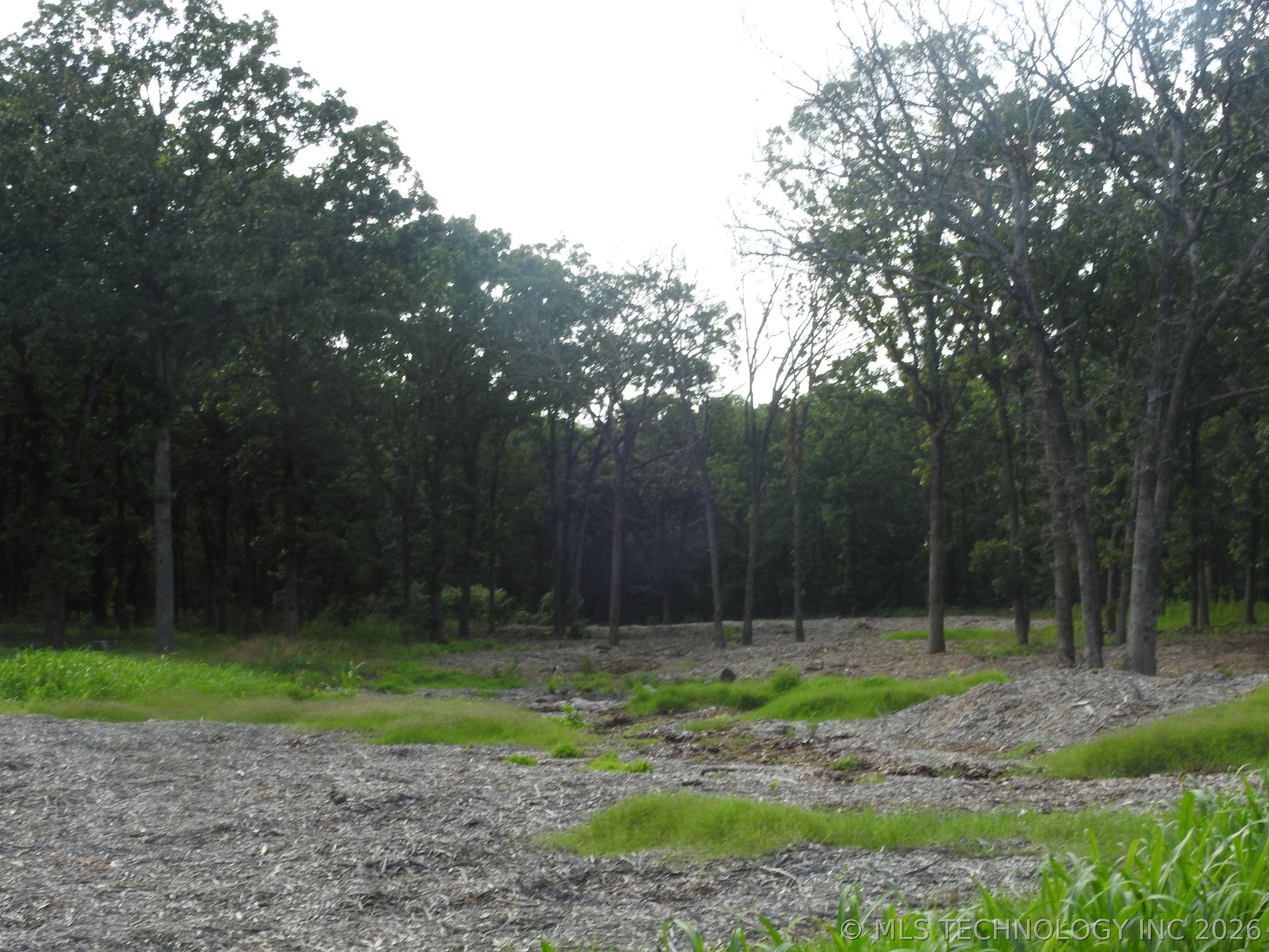20910 Black Jack Trail Property Photo 22