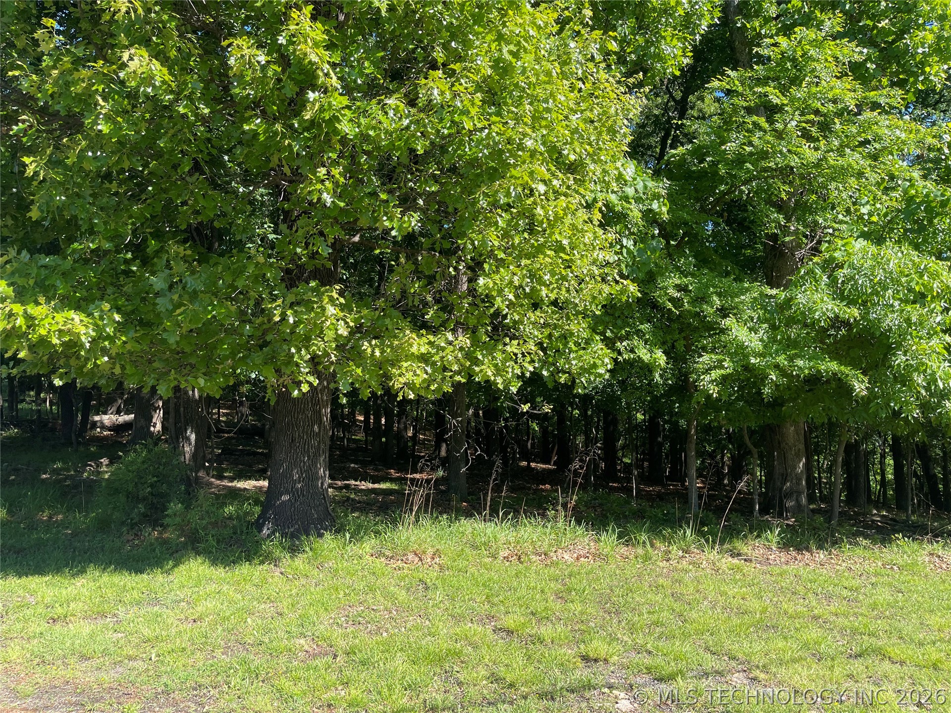 Ross Drive Property Photo 8