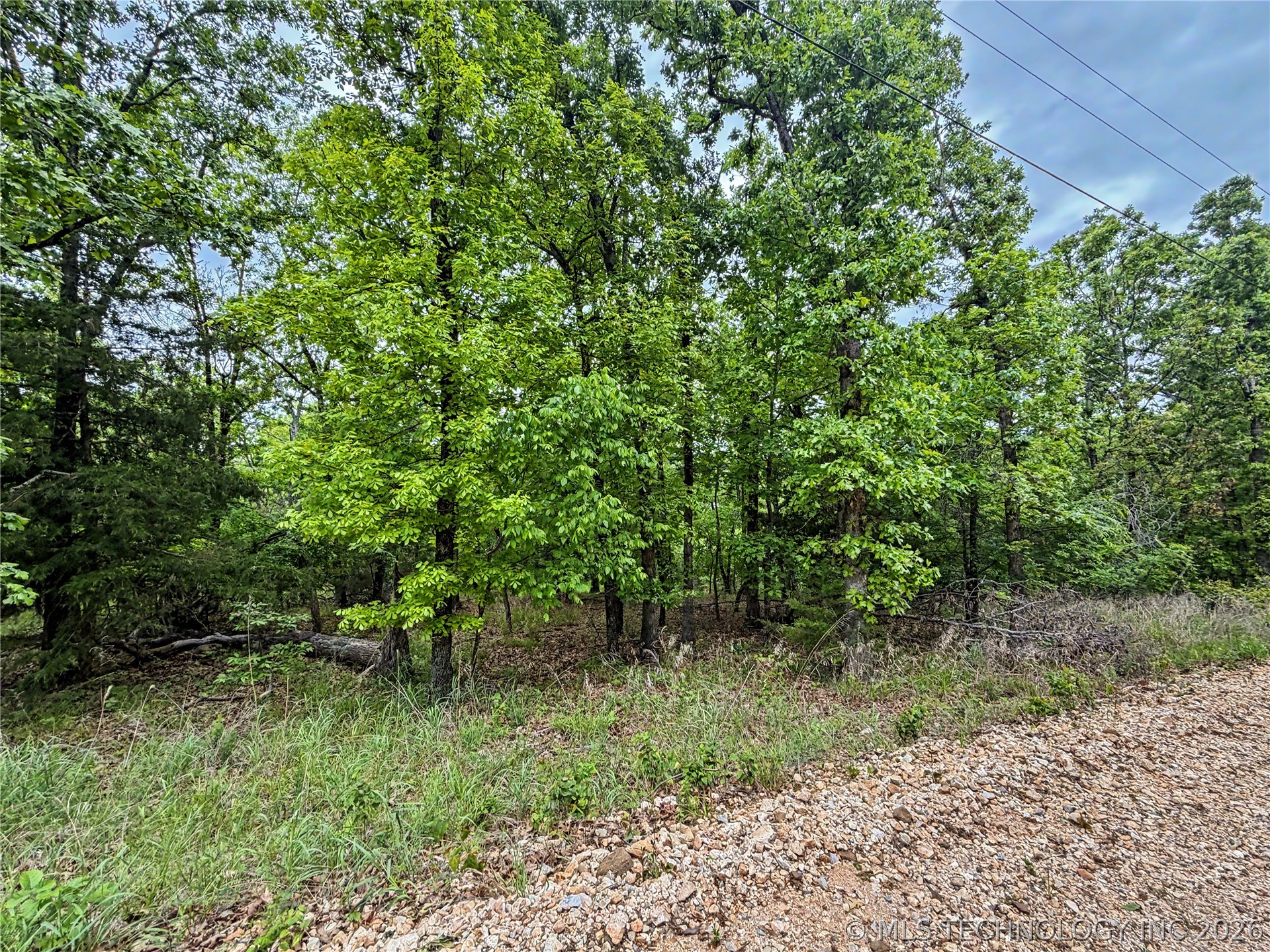 511 Road Property Photo 1