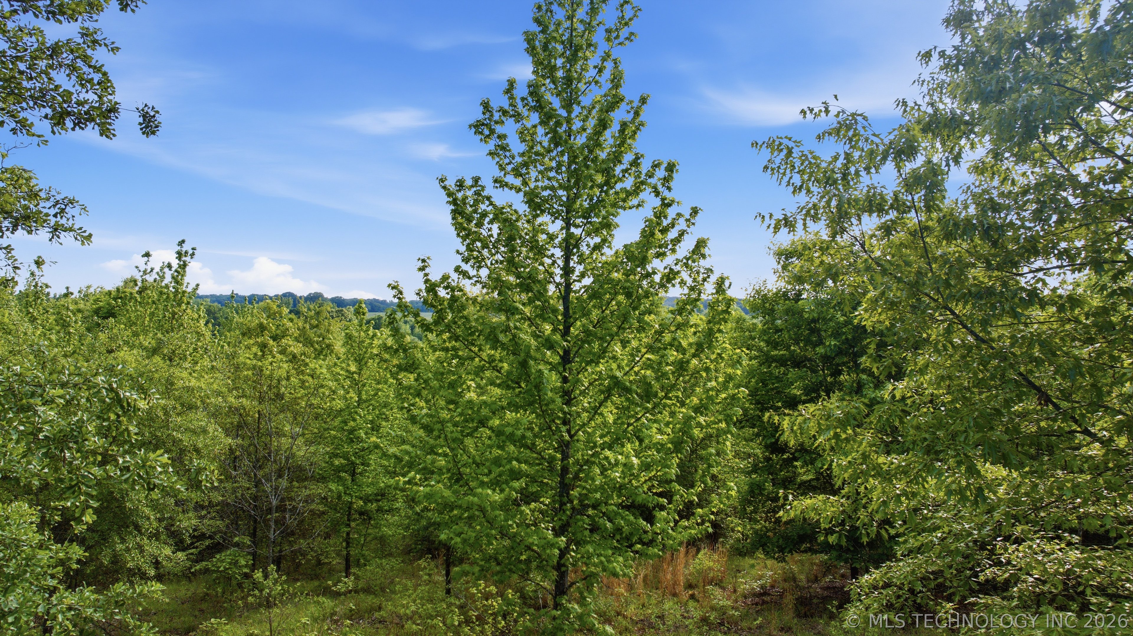782 N 4380 Road Property Photo 50