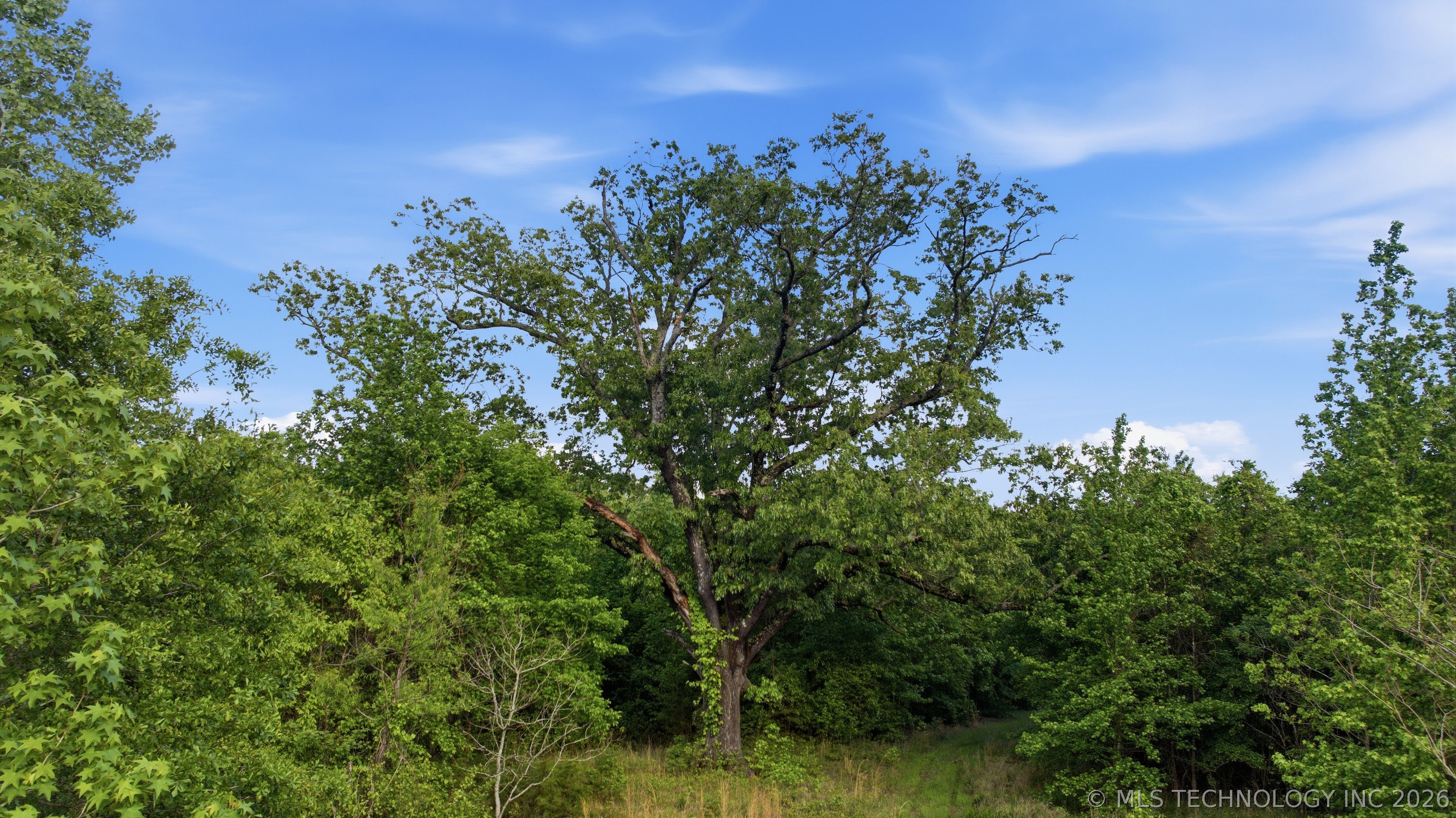 782 N 4380 Road Property Photo 54