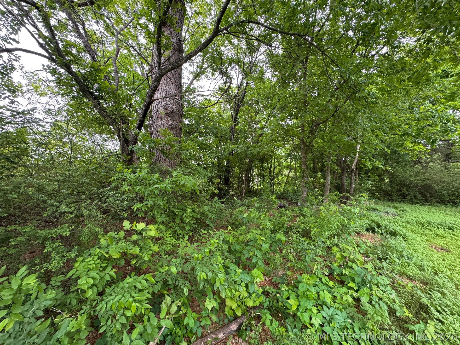 401 S Hall Avenue Property Photo 9