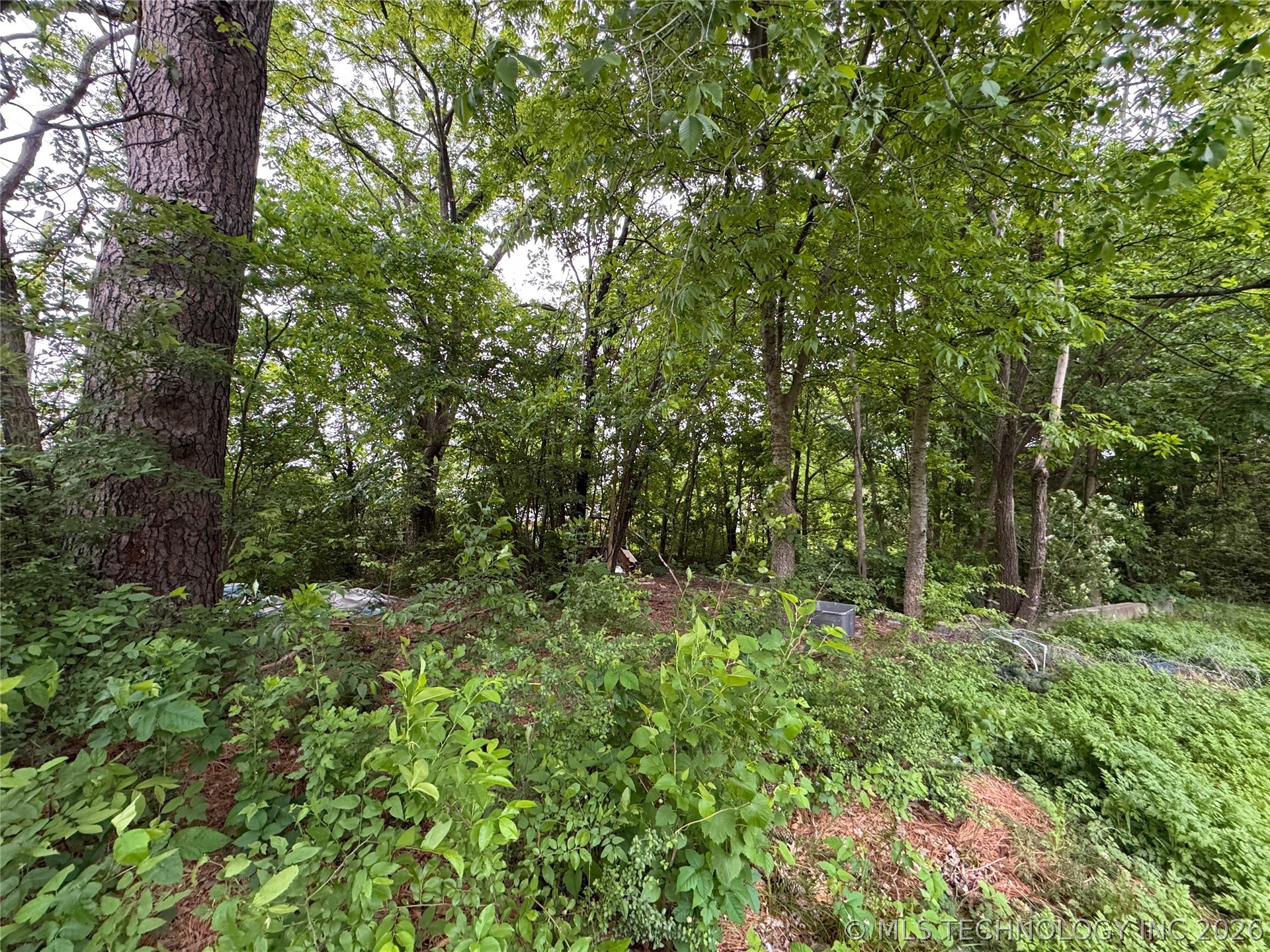 401 S Hall Avenue Property Photo 10