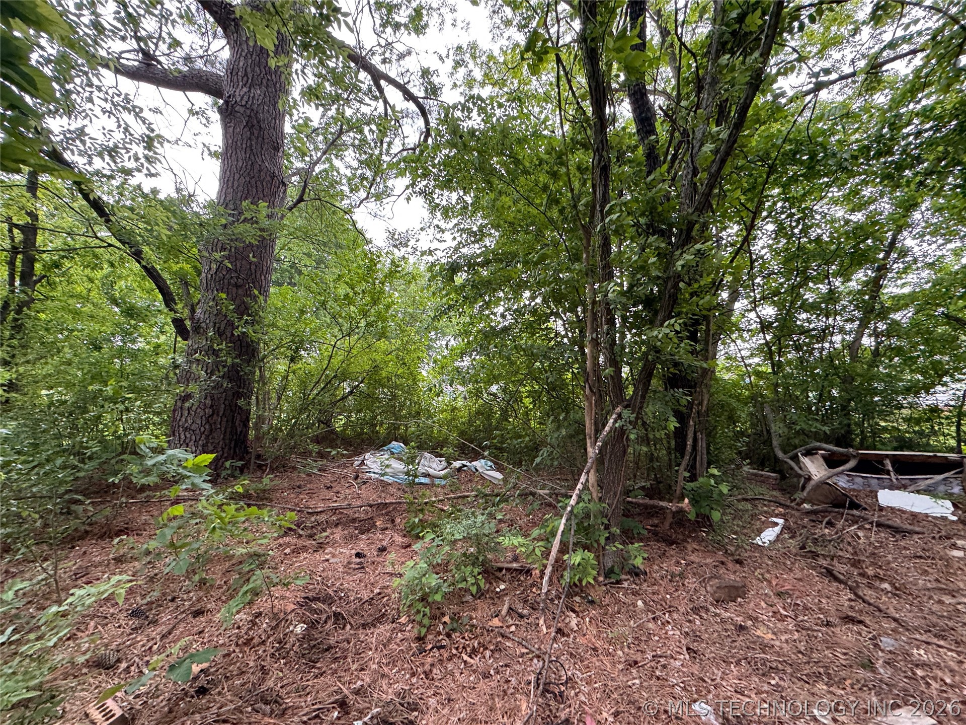 401 S Hall Avenue Property Photo 15