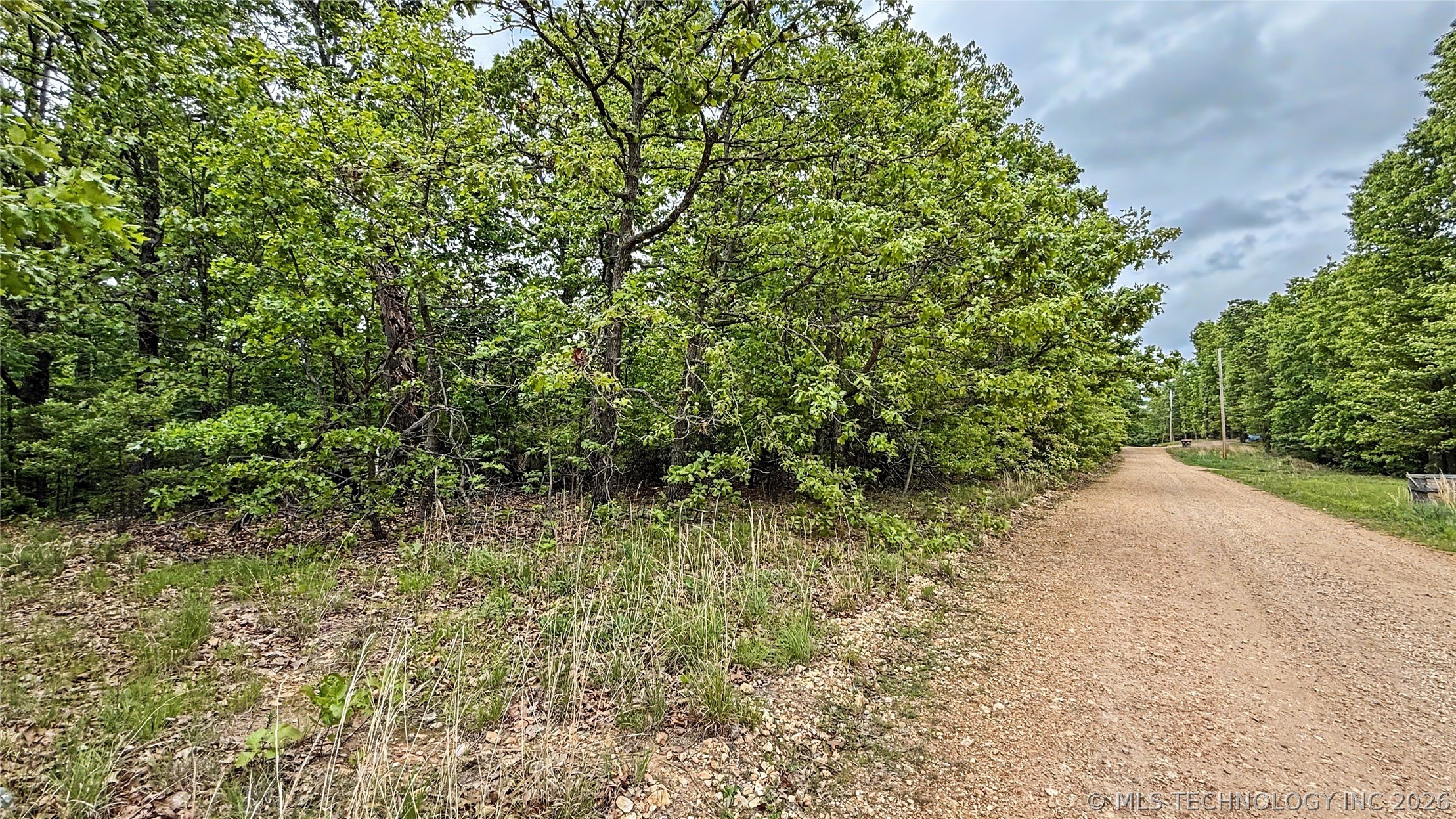 28077 Lame Deer Ridge Road Property Photo 3